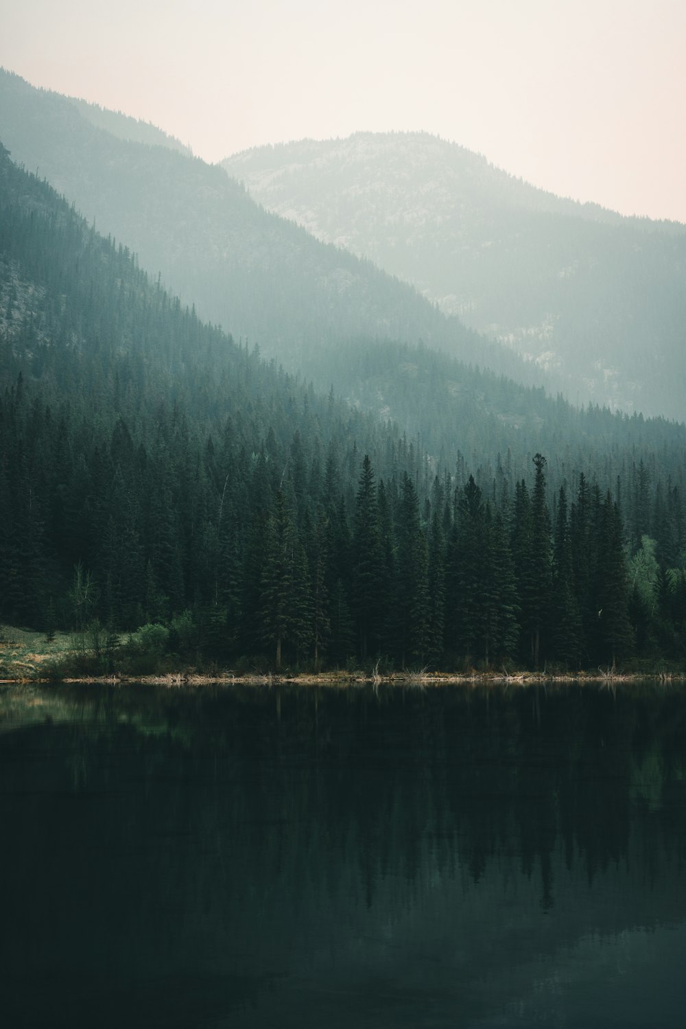 a lake surrounded by a forest with mountains in the background