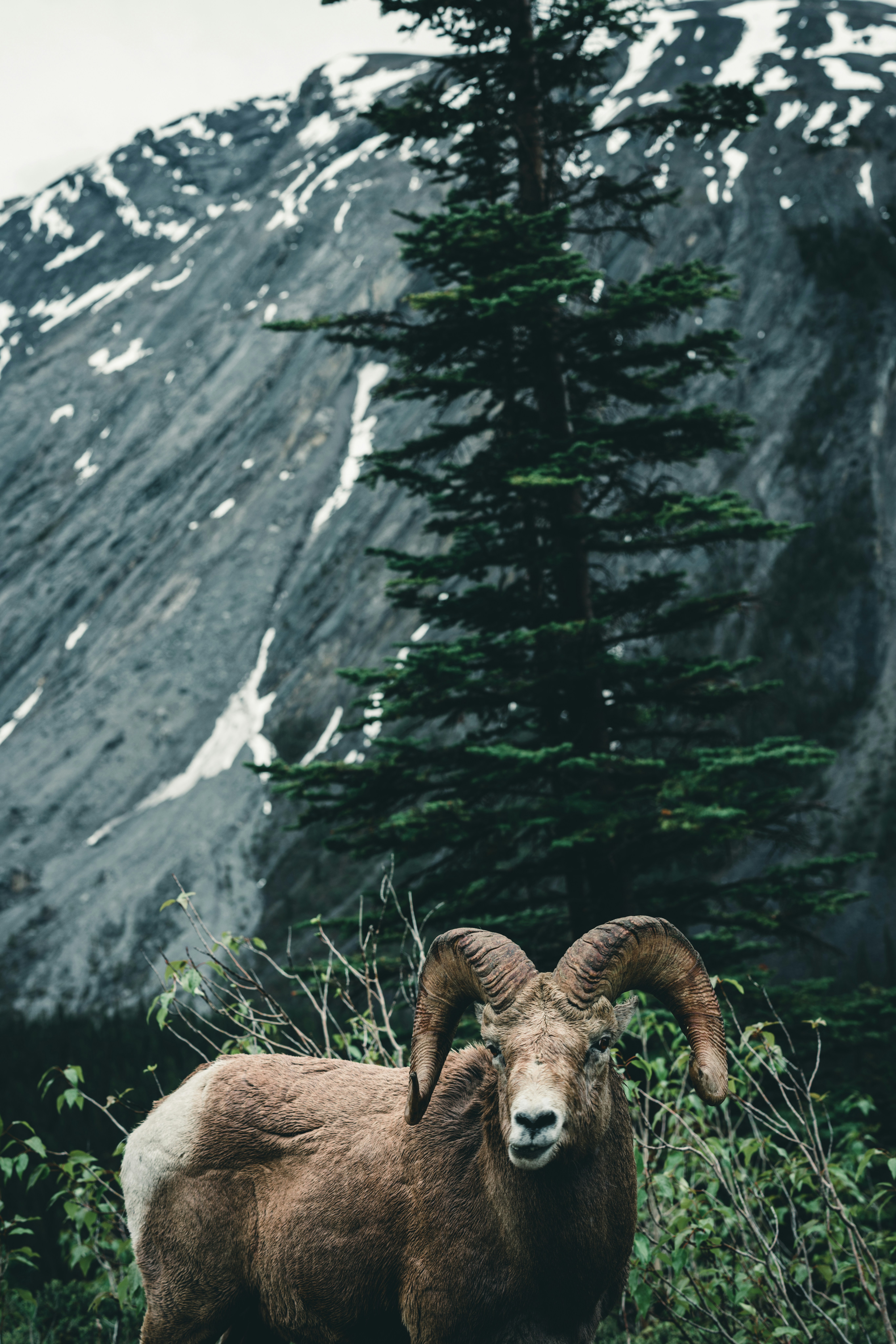 Photo by lureofadventure