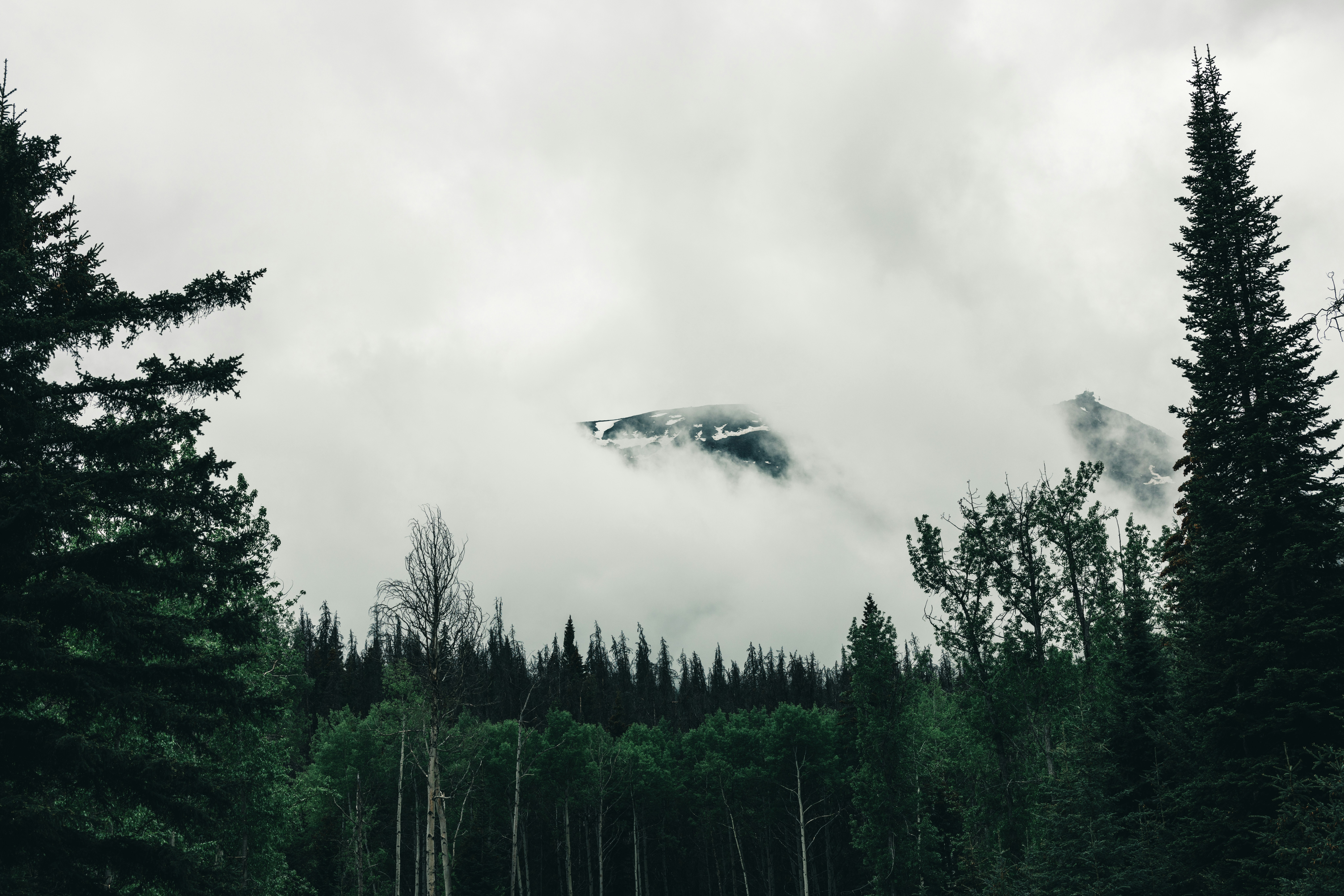 Photo by lureofadventure