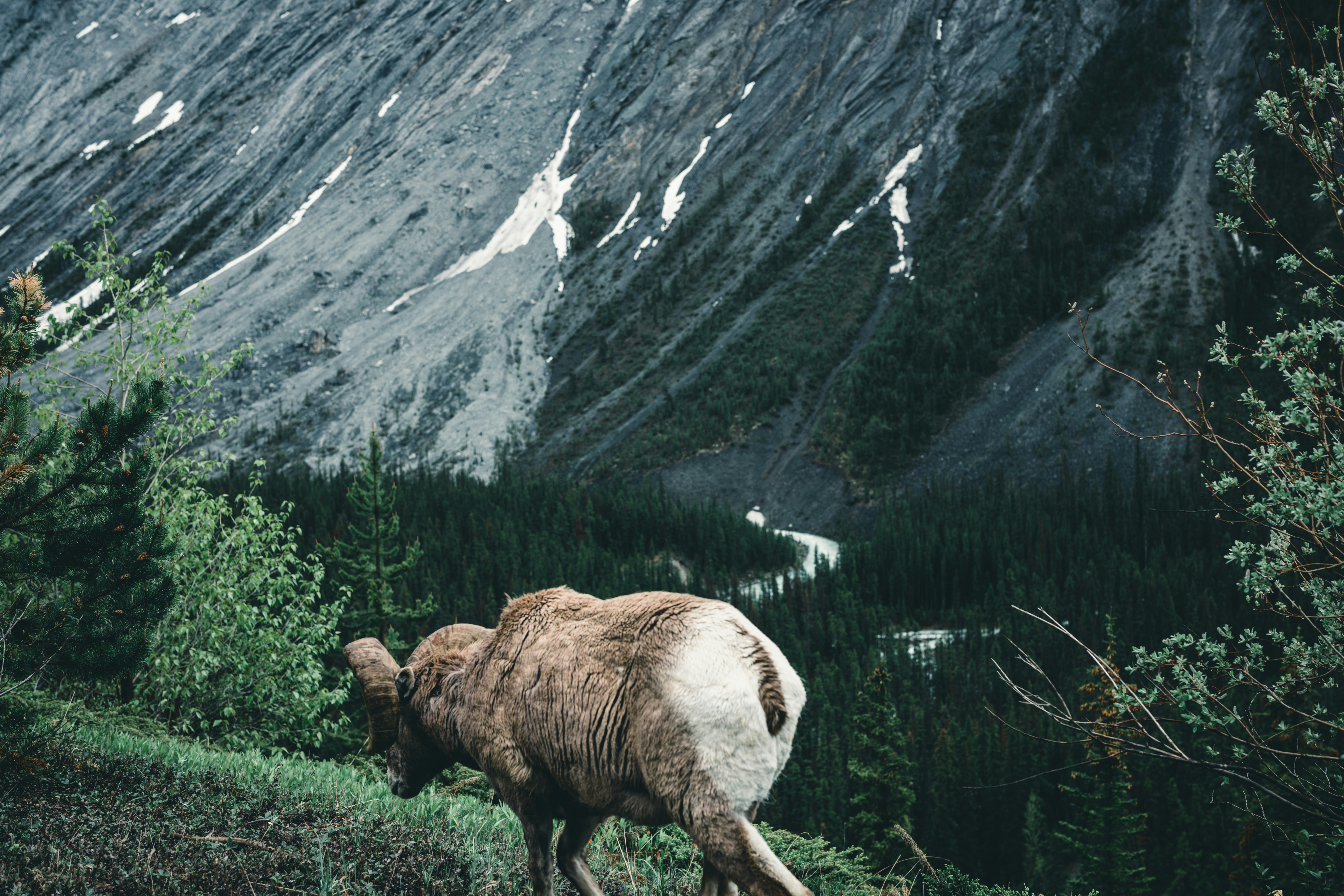 Photo by lureofadventure