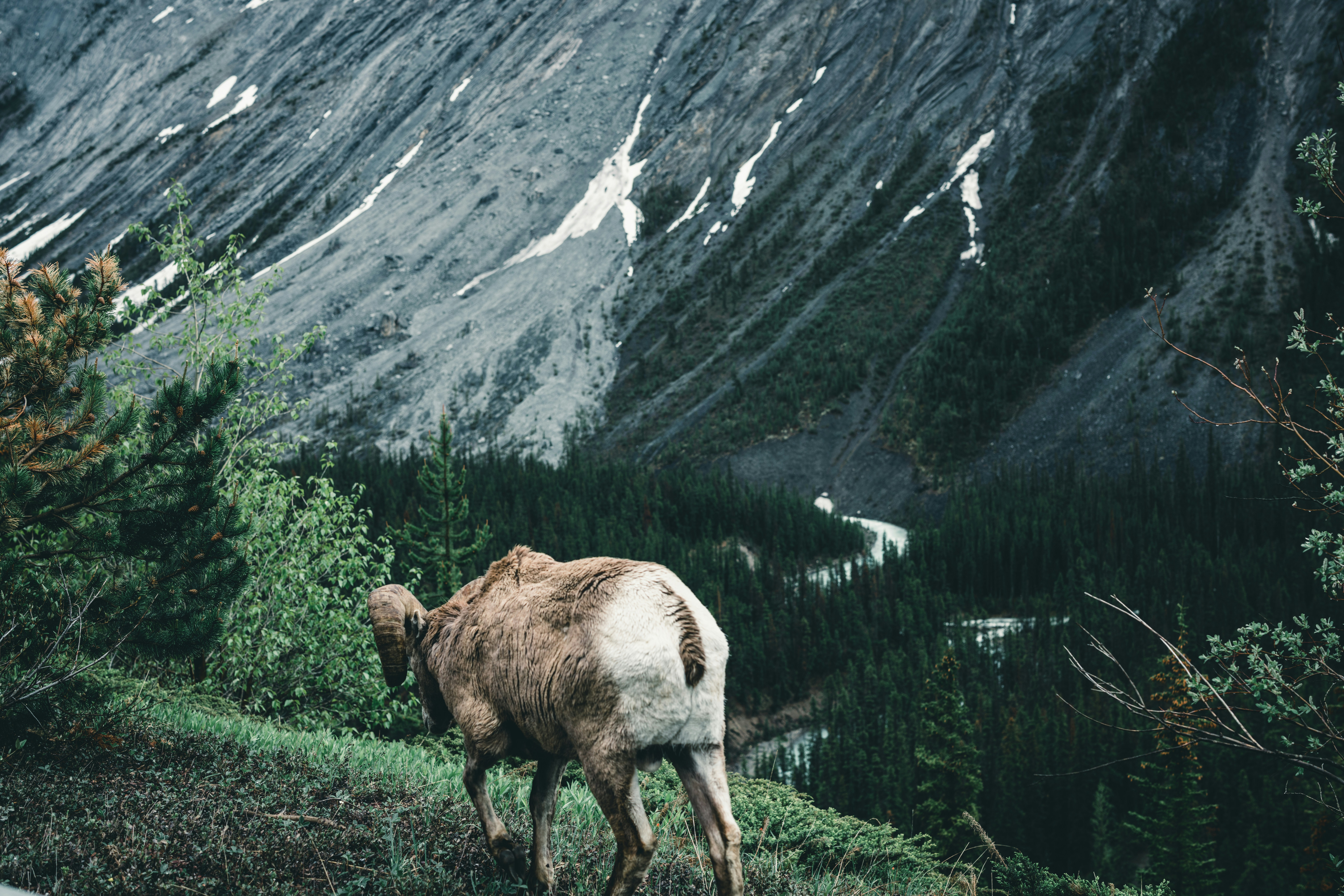 Photo by lureofadventure