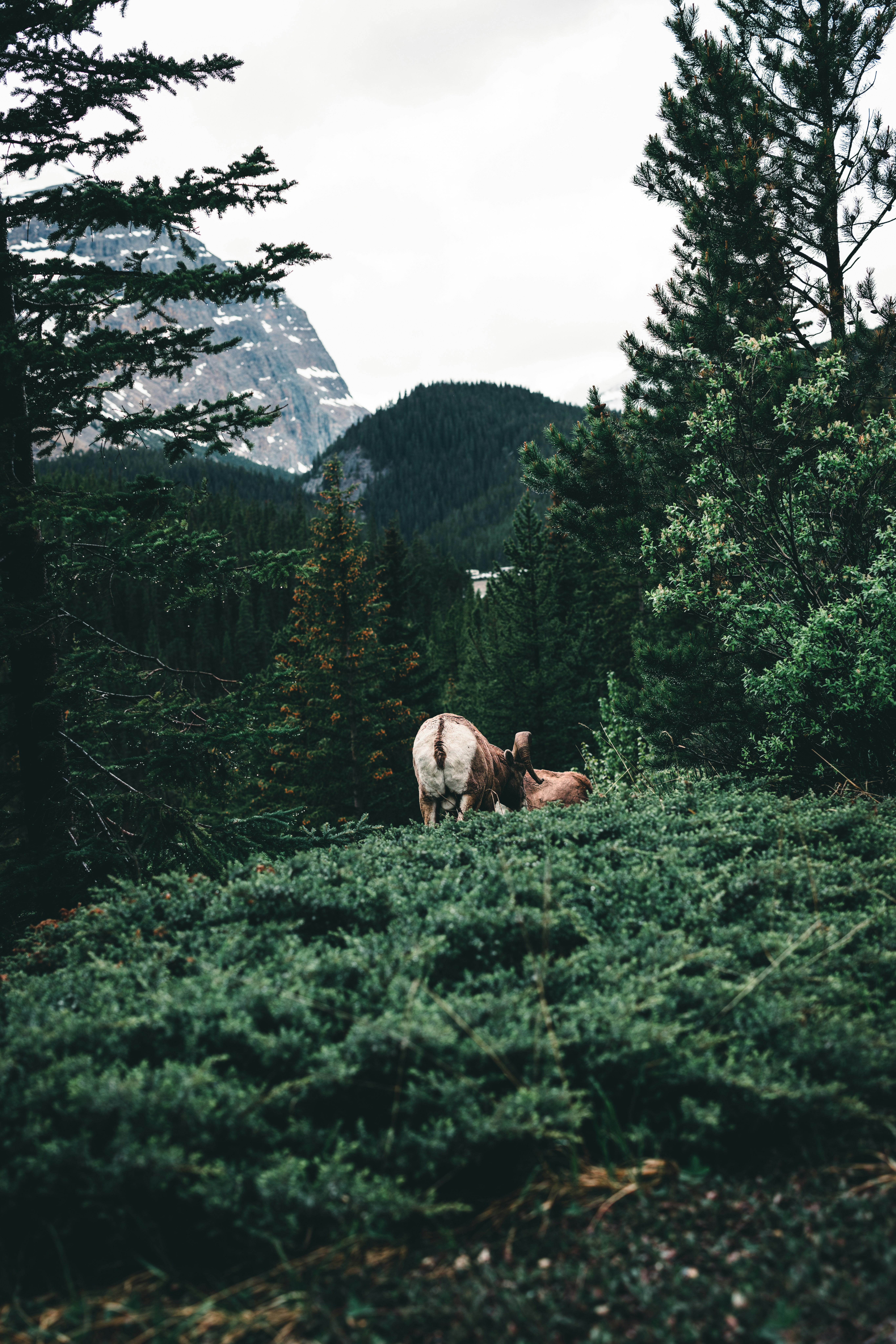 Photo by lureofadventure