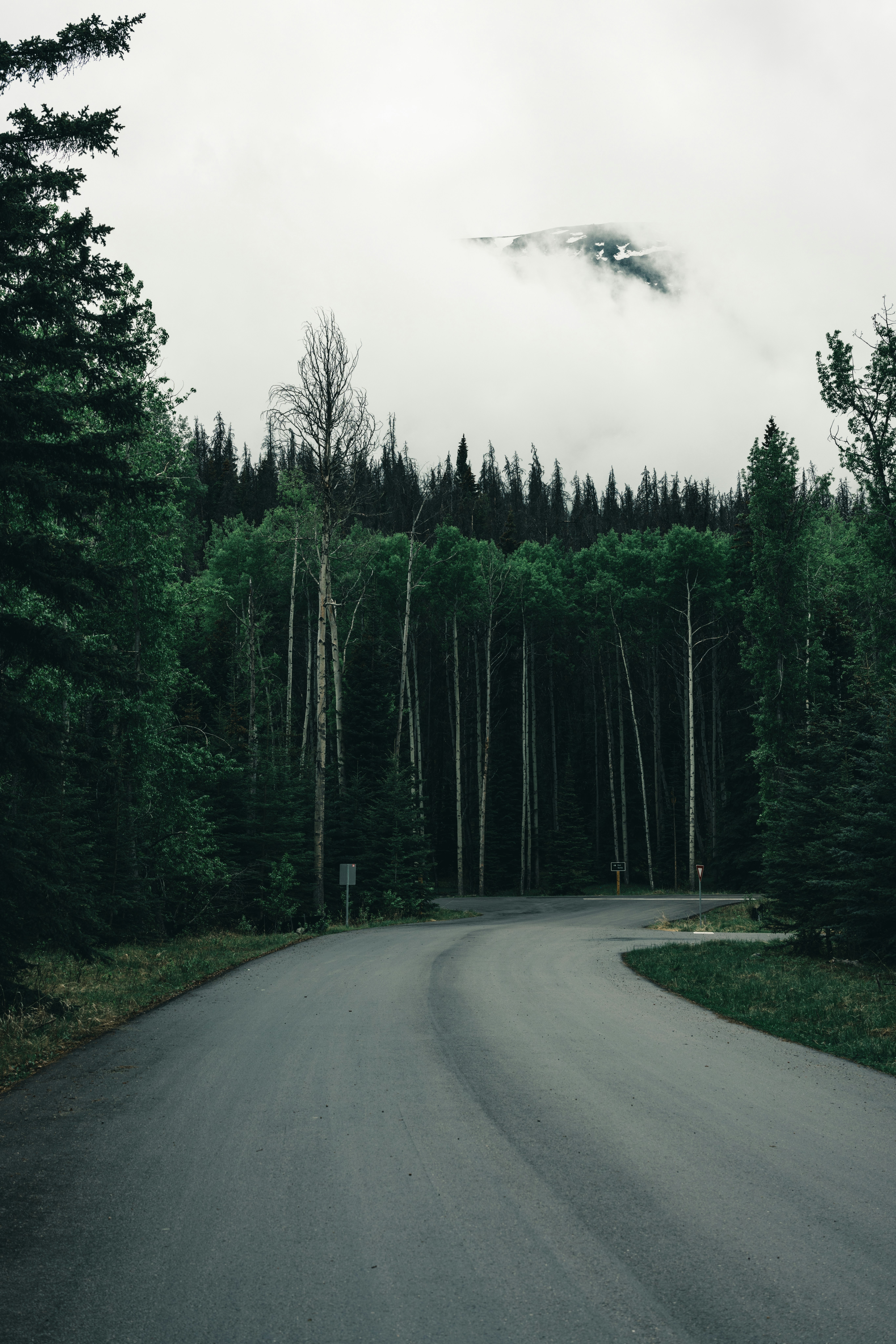 Photo by lureofadventure