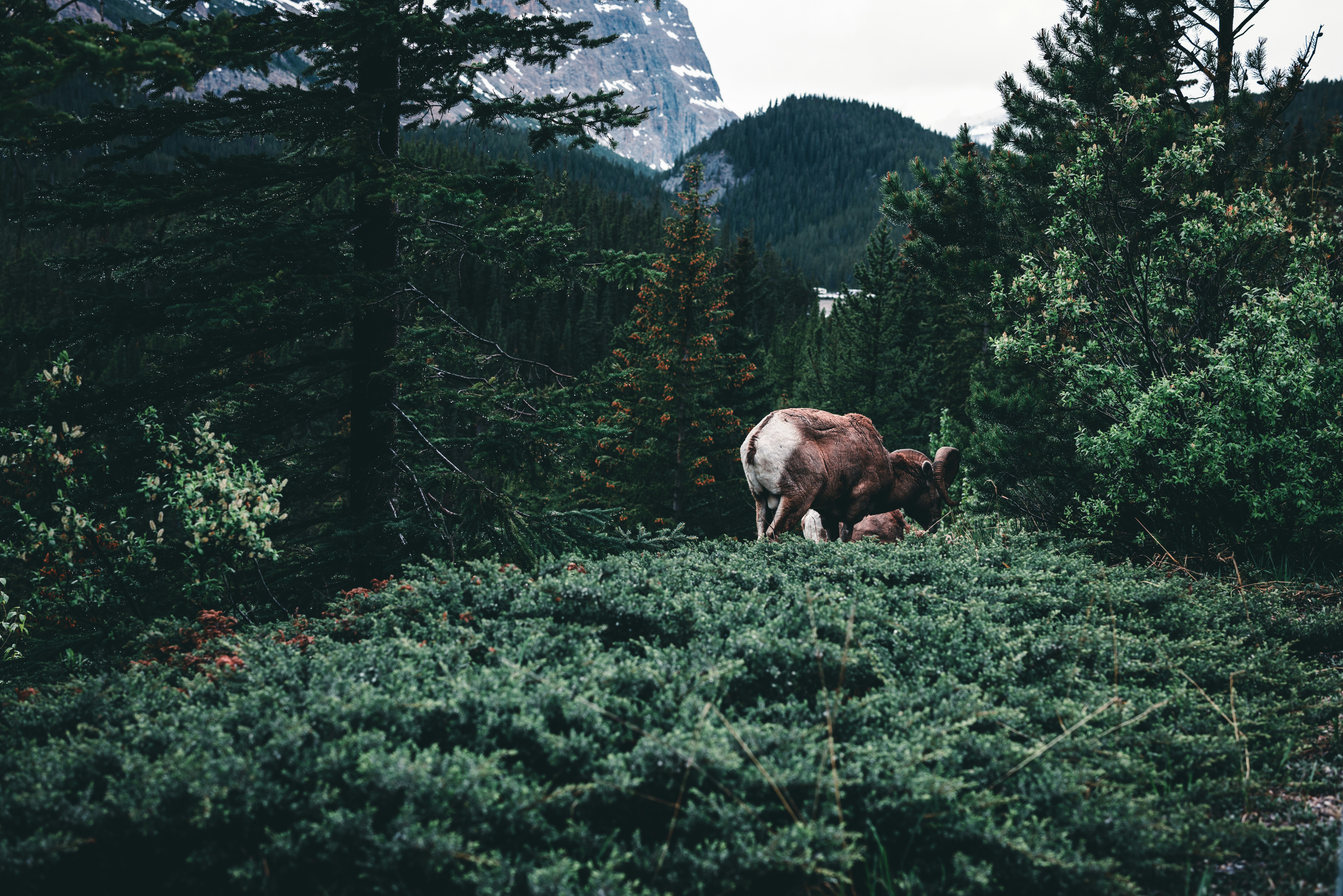 Photo by lureofadventure