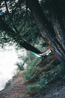 A hammock strung between two trees overlooking the flowing river.