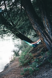 A colorful hammock is suspended between two large trees on the edge of a calm river. The surrounding area is lush with green foliage and the ground is covered with brown earth and rocks. The scene captures a tranquil and secluded outdoor setting with dense forest obscuring the sunlight.