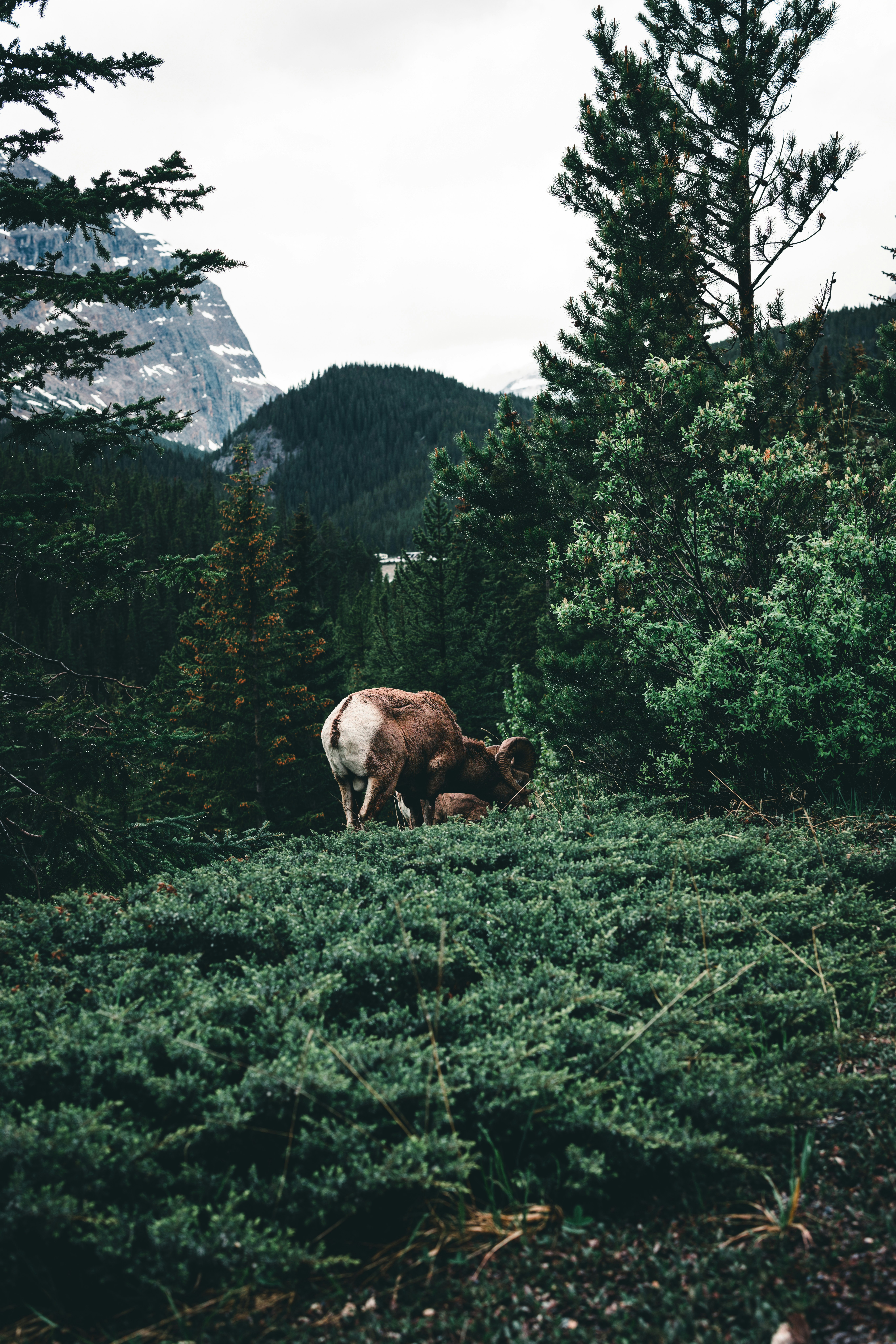 Photo by lureofadventure