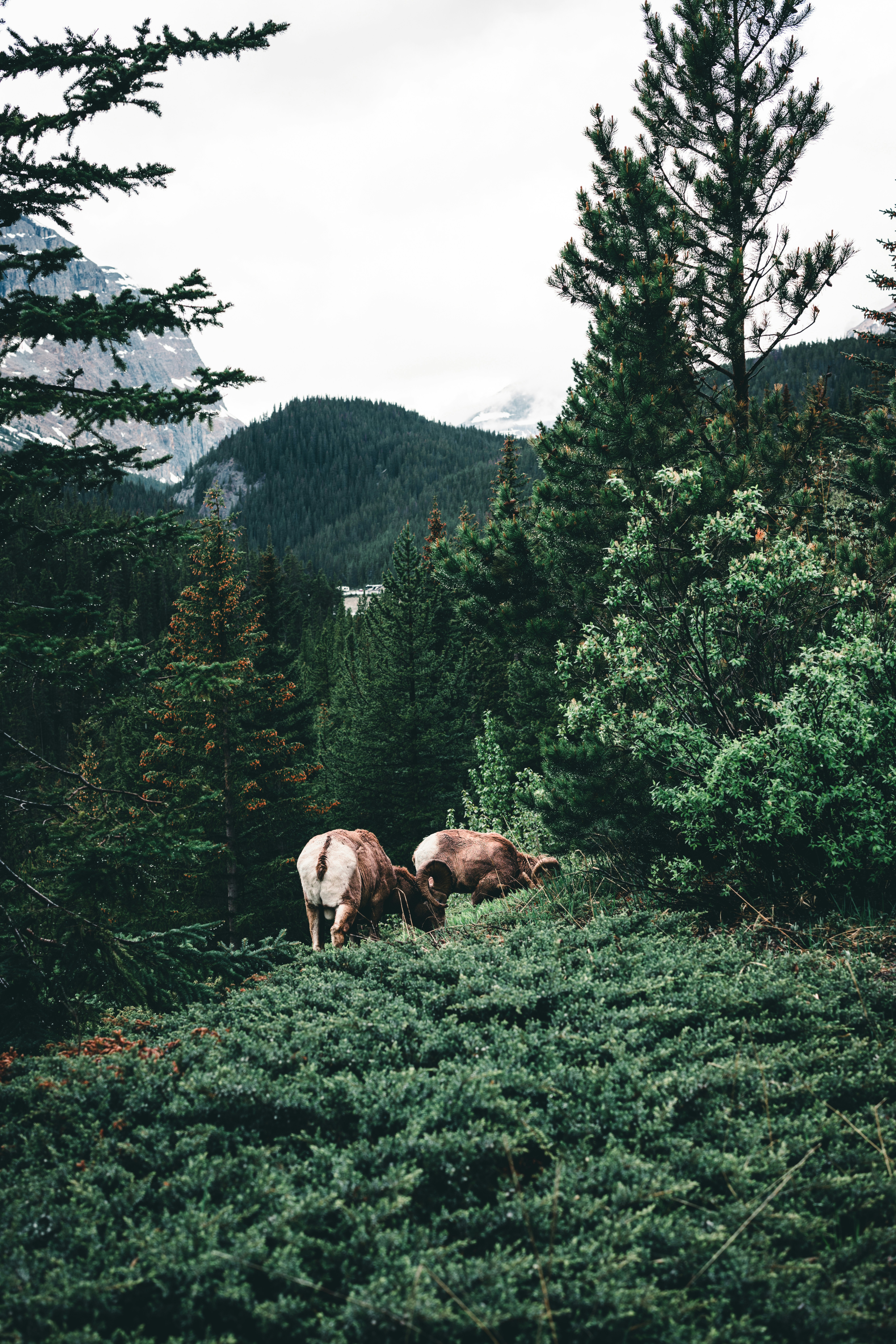 Photo by lureofadventure