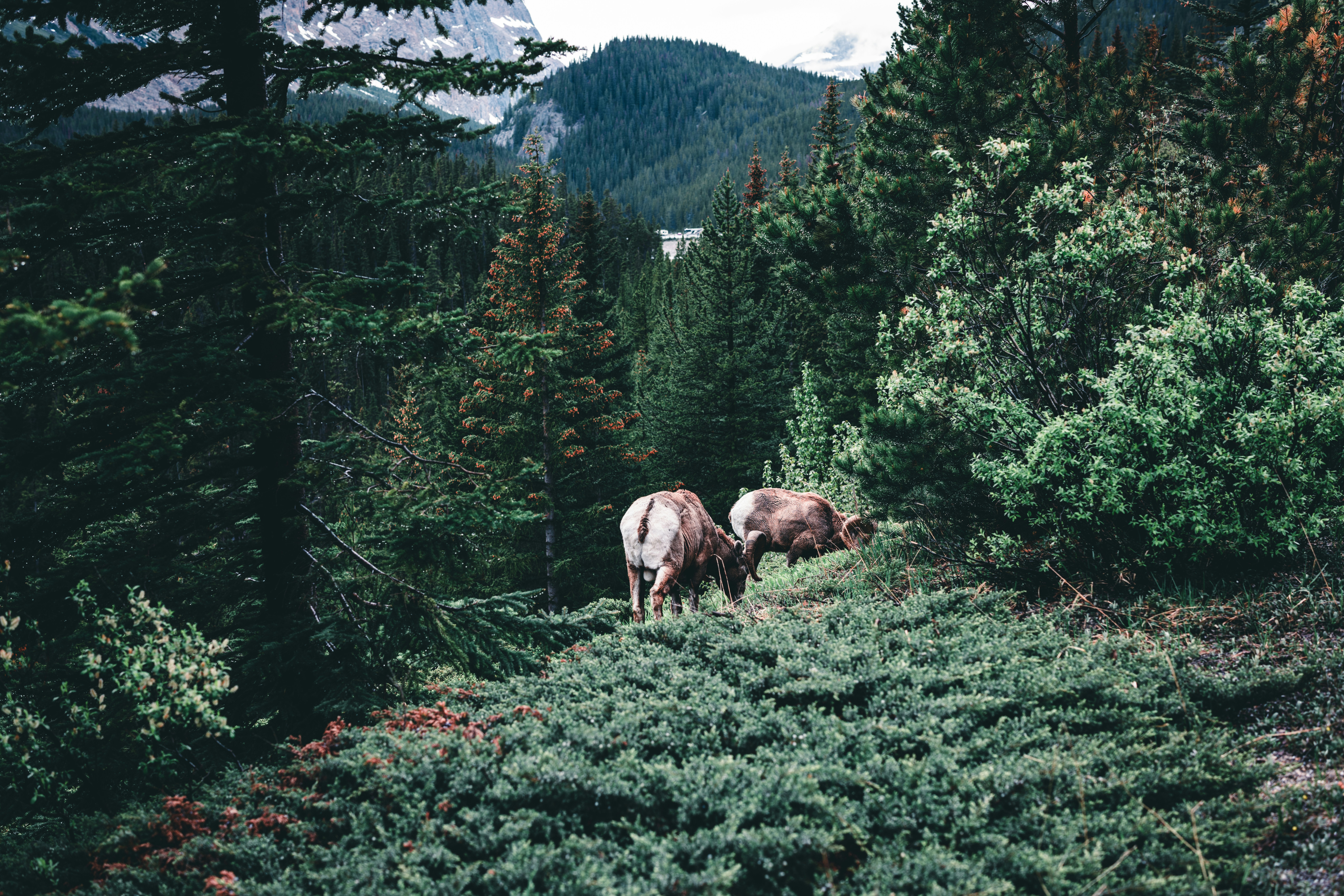 Photo by lureofadventure