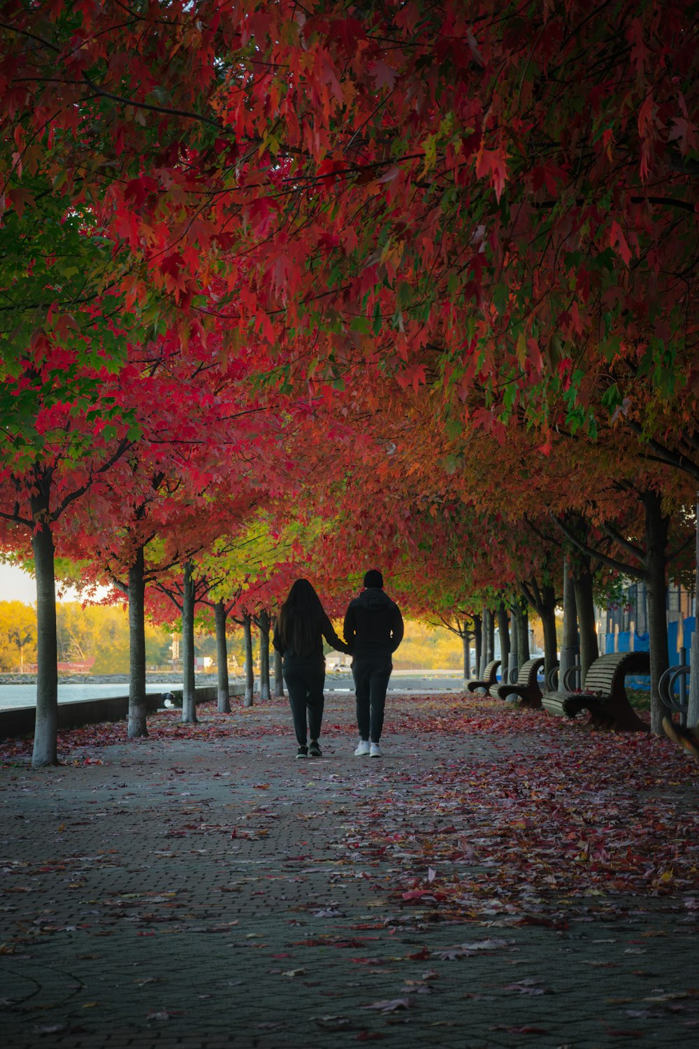 two people walking down a path under a canopy of trees