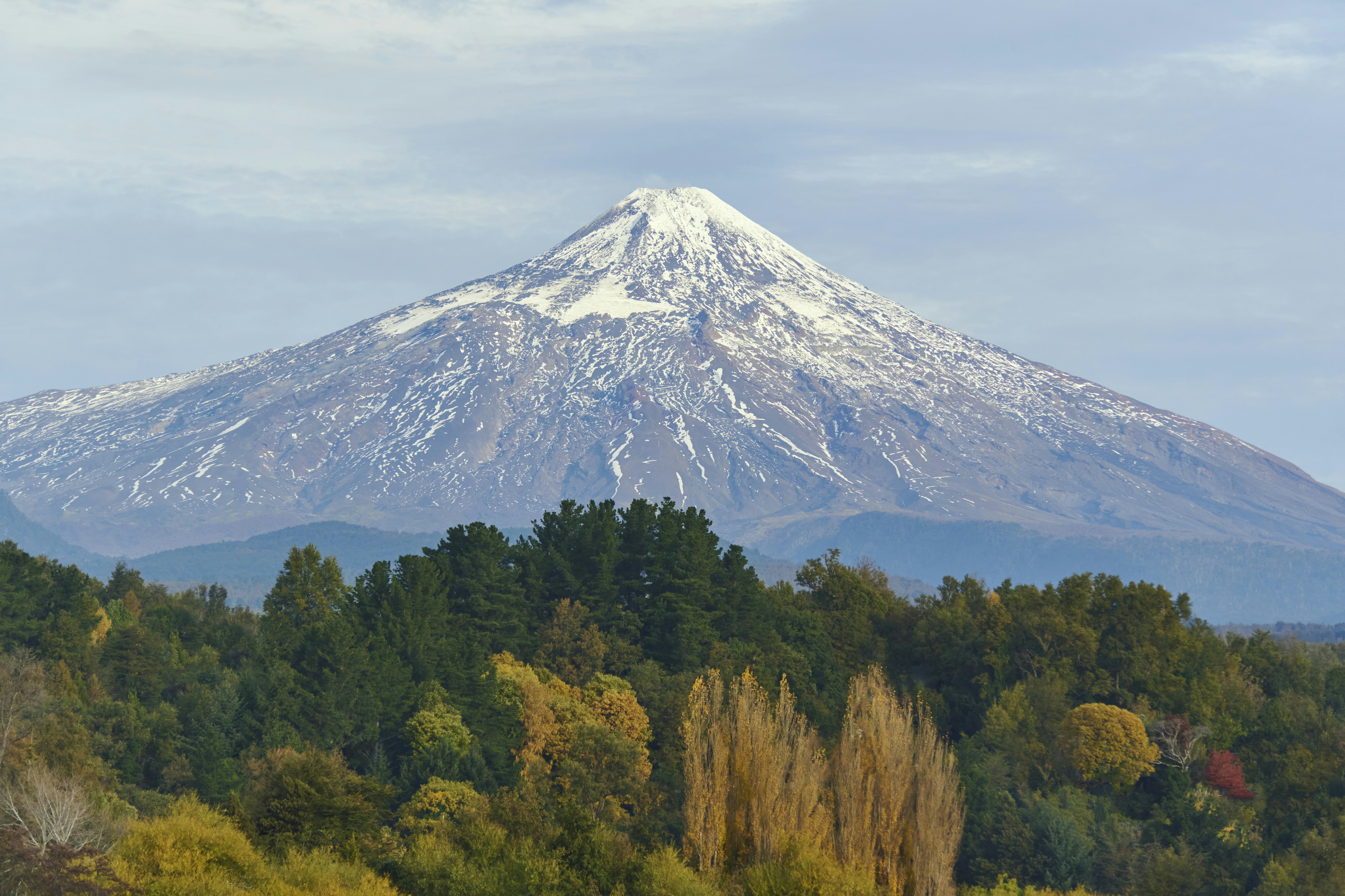 A snow covered mountain with trees in the foreground photo – Free ...