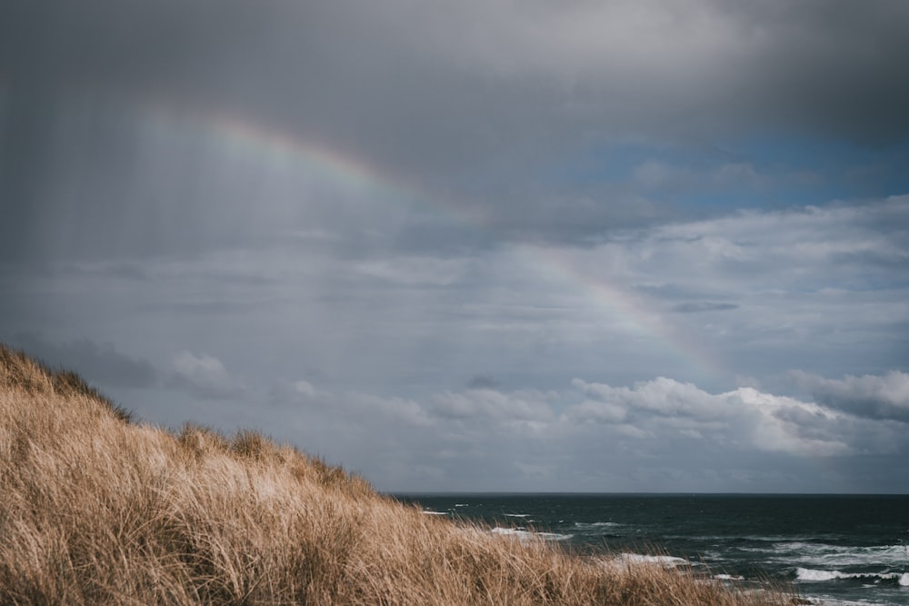 a rainbow shines in the sky over the ocean