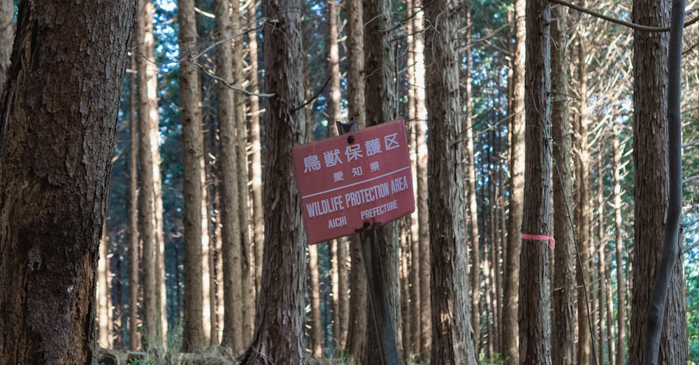 a red sign in the middle of a forest