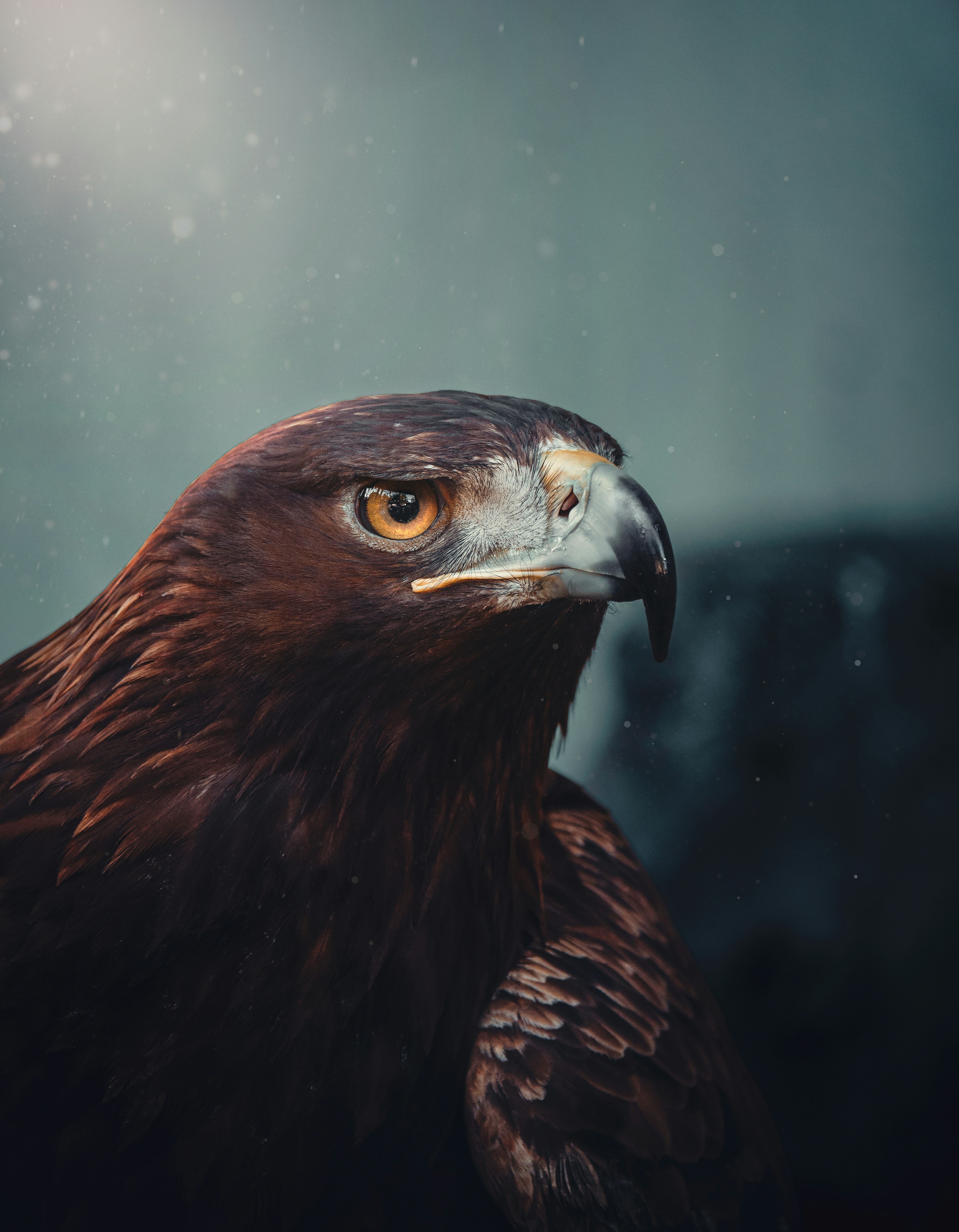 Photo by eclipsestudio