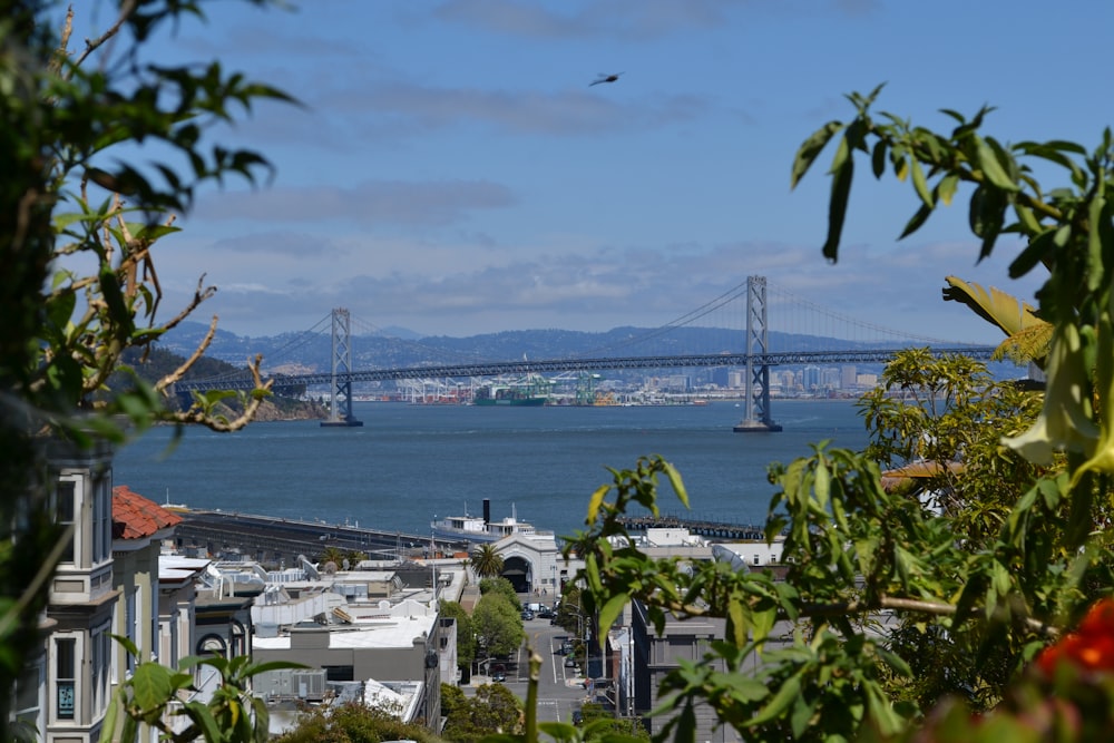 Ein Blick auf die Bay Bridge aus der Ferne