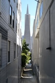 A narrow alleyway framed by tall, light-colored buildings leads to the iconic Transamerica Pyramid in the distance. Sunlight casts shadows along the pavement, and a patch of greenery is visible on the left side.