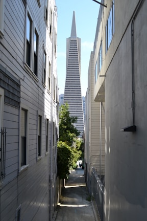 A narrow alleyway framed by tall, light-colored buildings leads to the iconic Transamerica Pyramid in the distance. Sunlight casts shadows along the pavement, and a patch of greenery is visible on the left side.