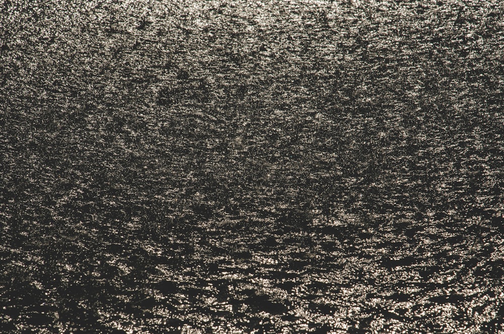 a black and white photo of a body of water