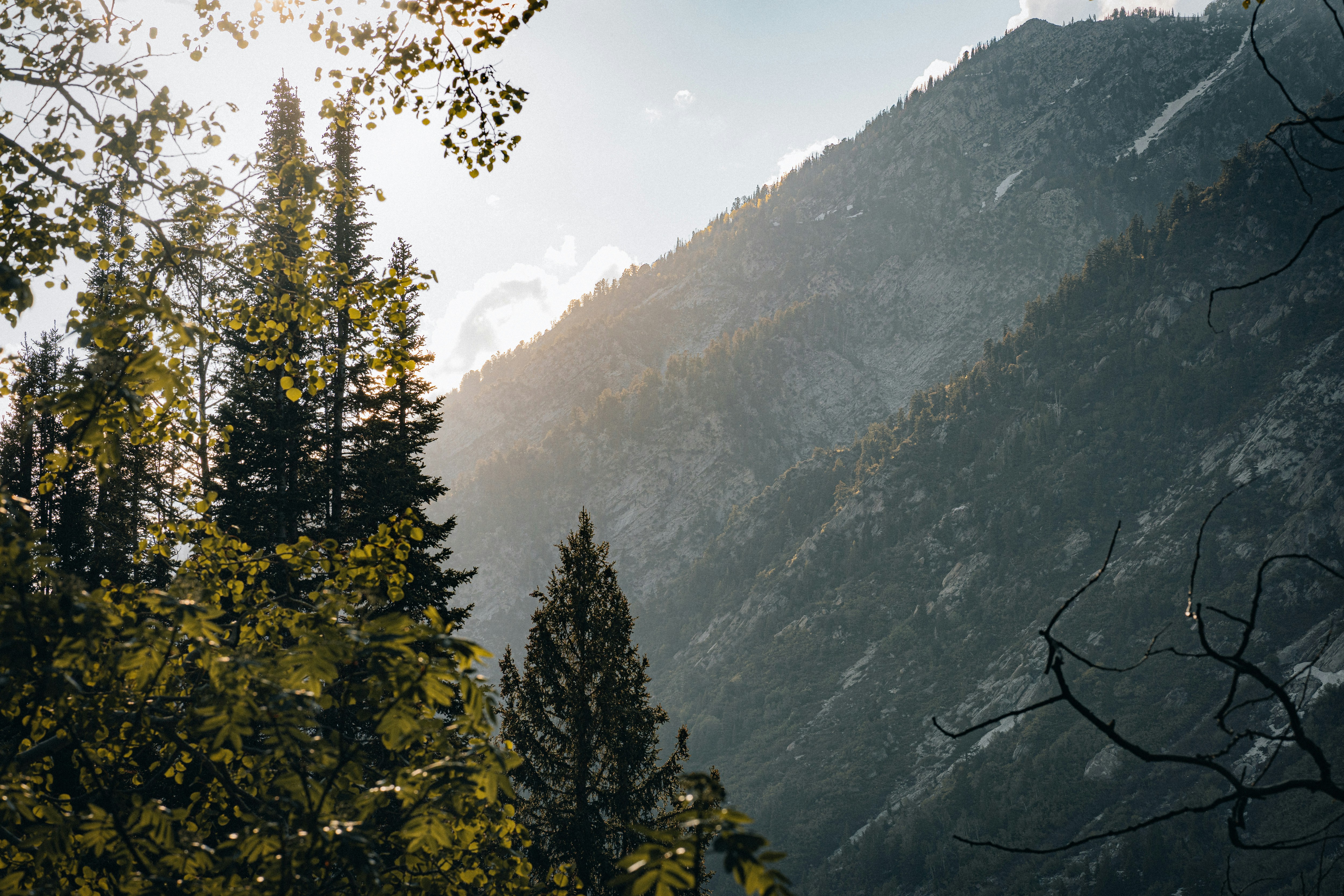 Photo by isaactmitchell