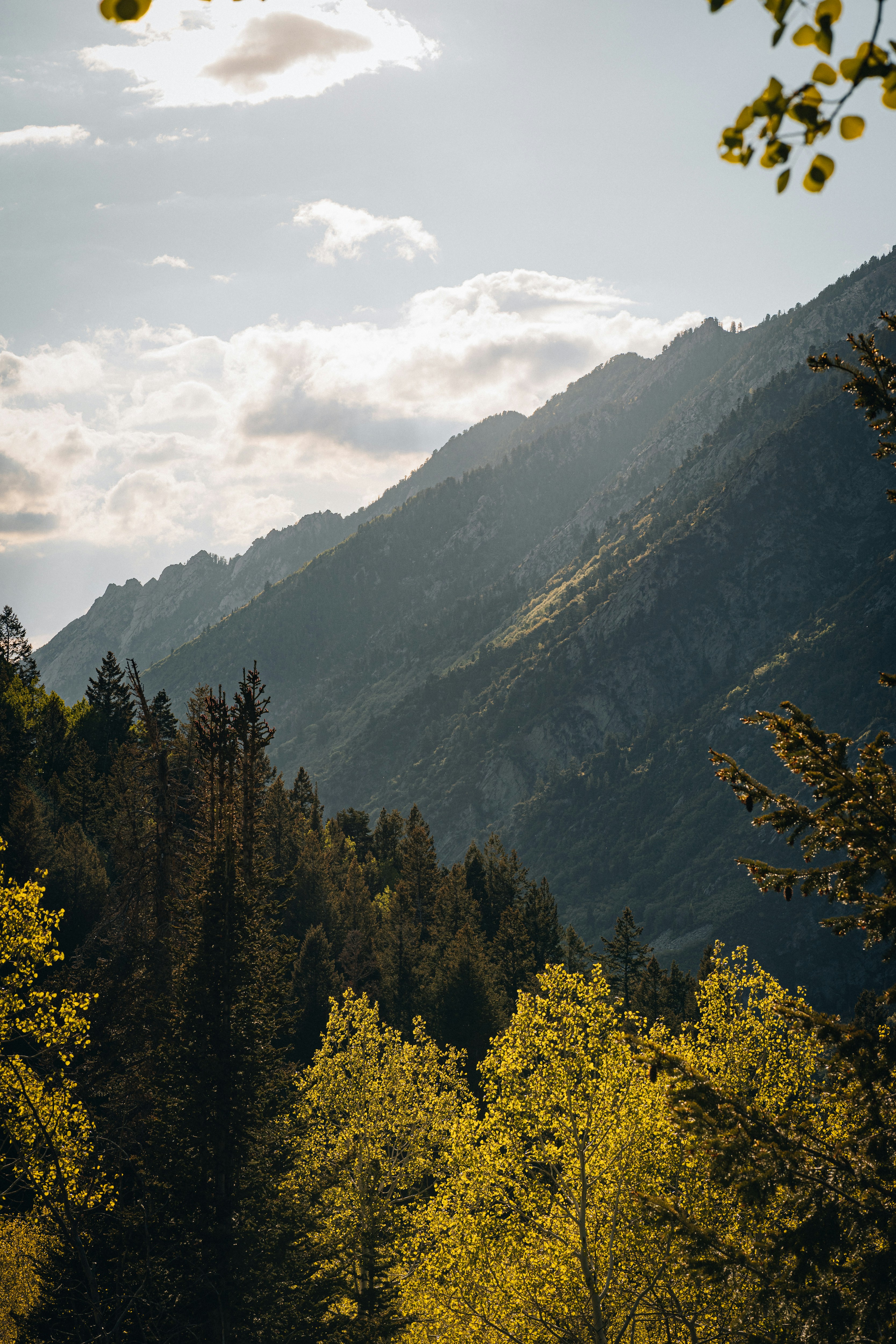 Photo by isaactmitchell