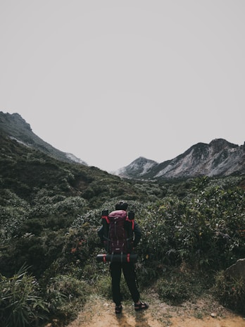 A lone hiker stands on a dirt path surrounded by lush green vegetation, with a mountainous landscape in the distance. The hiker is wearing a backpack and outdoor gear, appearing ready for an adventure.