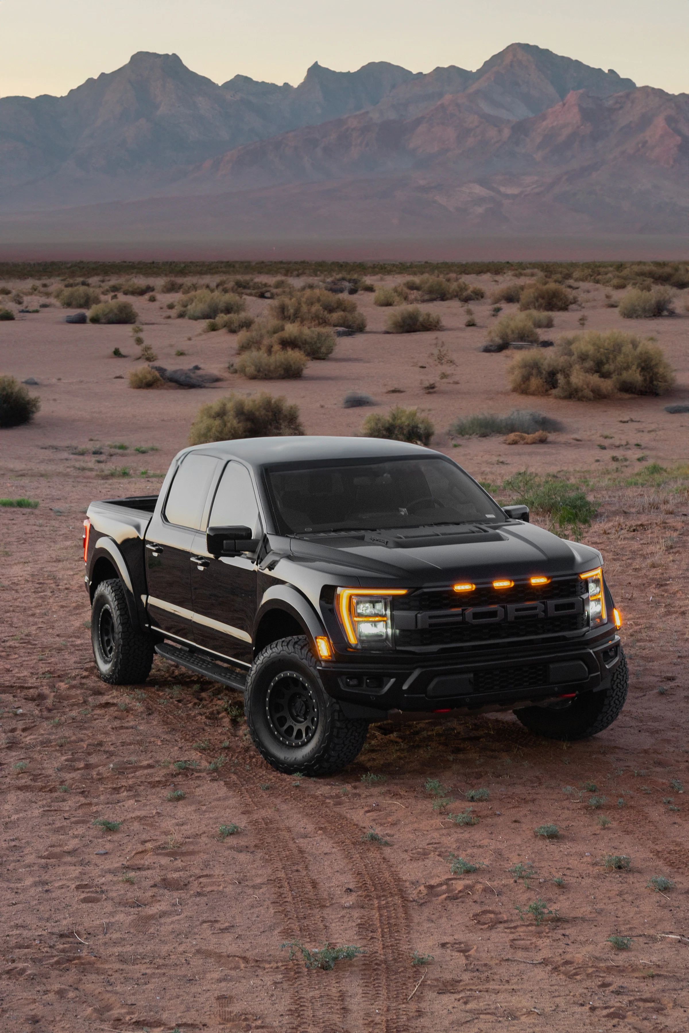 Dual-cab 4x4 in outback desert country