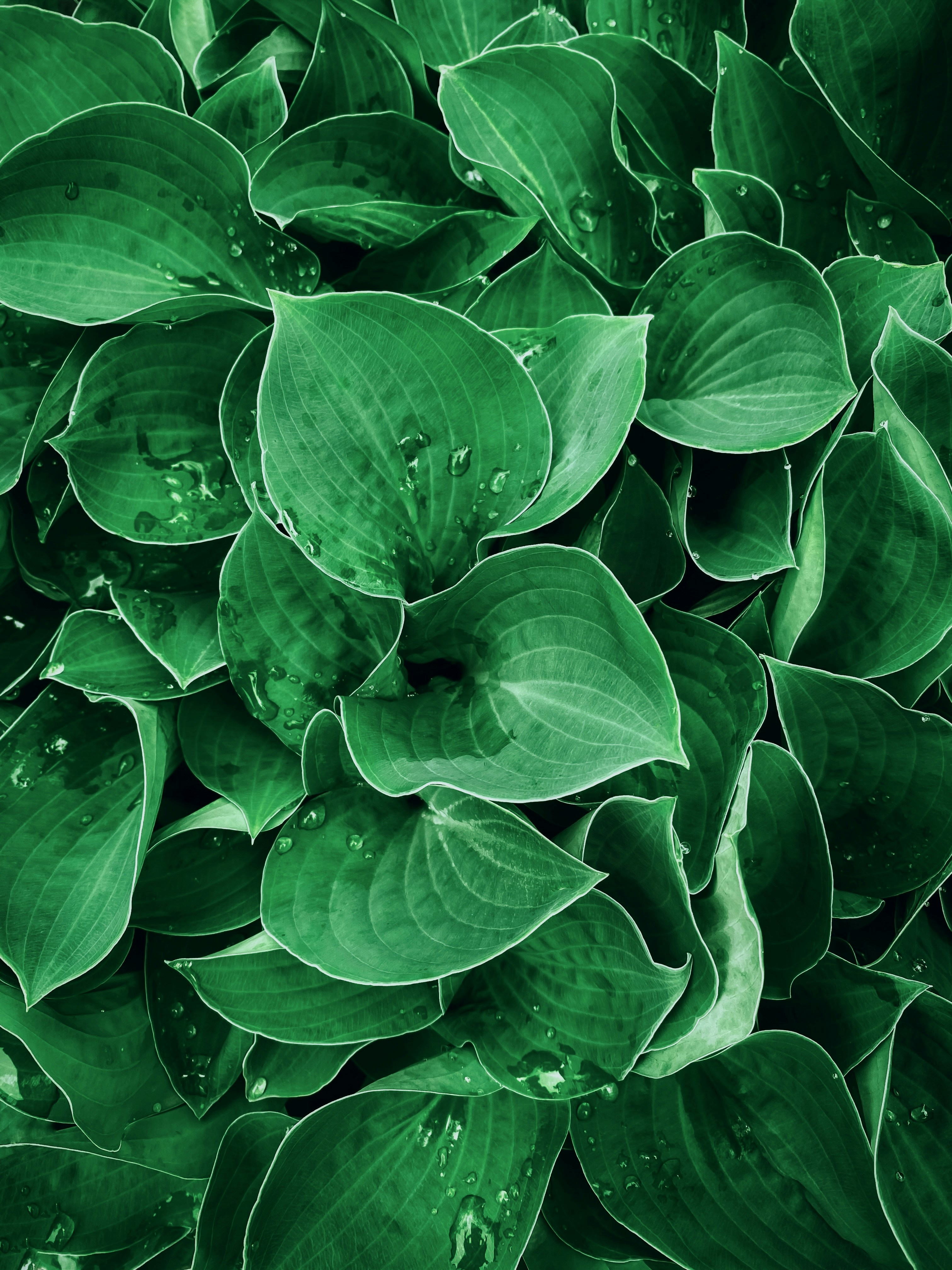 Photo by eugene_golovesov