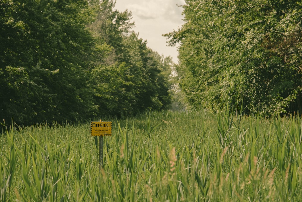 a sign in the middle of a grassy field