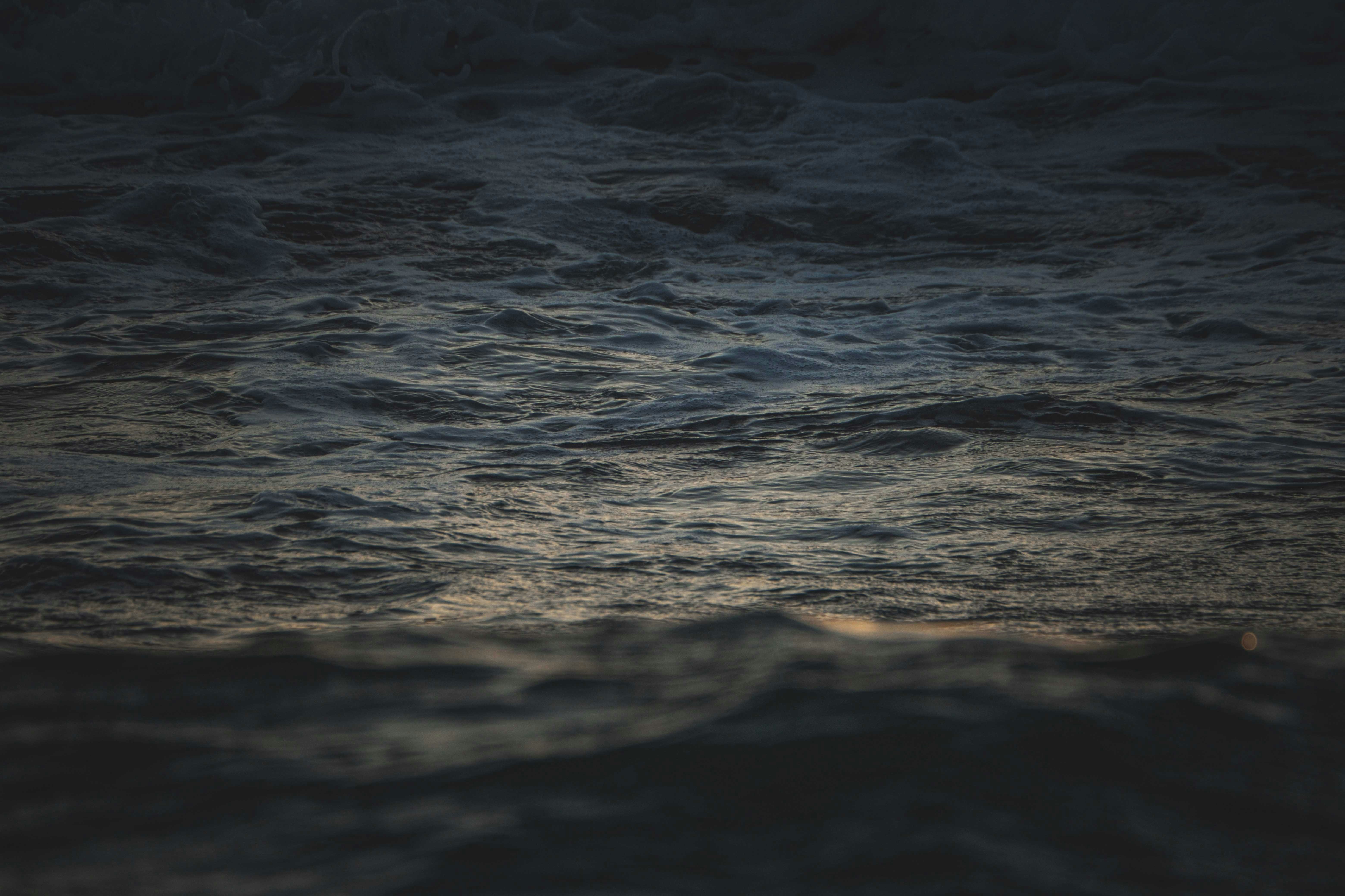 Photo by francesco_ungaro