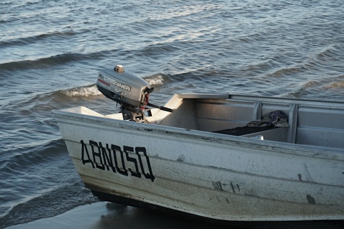 A small aluminum boat rests on the shore with waves gently lapping against it. The boat features an outboard motor branded as Mariner, and a registration label appears on its side. Inside the boat, a piece of clothing or fabric is casually laid over a seat.