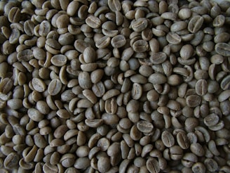 Close-up image of vibrant green coffee beans piled in a wooden crate.
