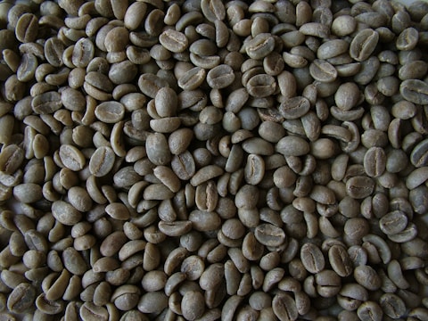 Close-up image of vibrant green coffee beans piled in a wooden crate.
