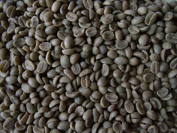 A close-up view of numerous unroasted green coffee beans, characterized by their oval shapes and rough textures, piled together in a dense arrangement.