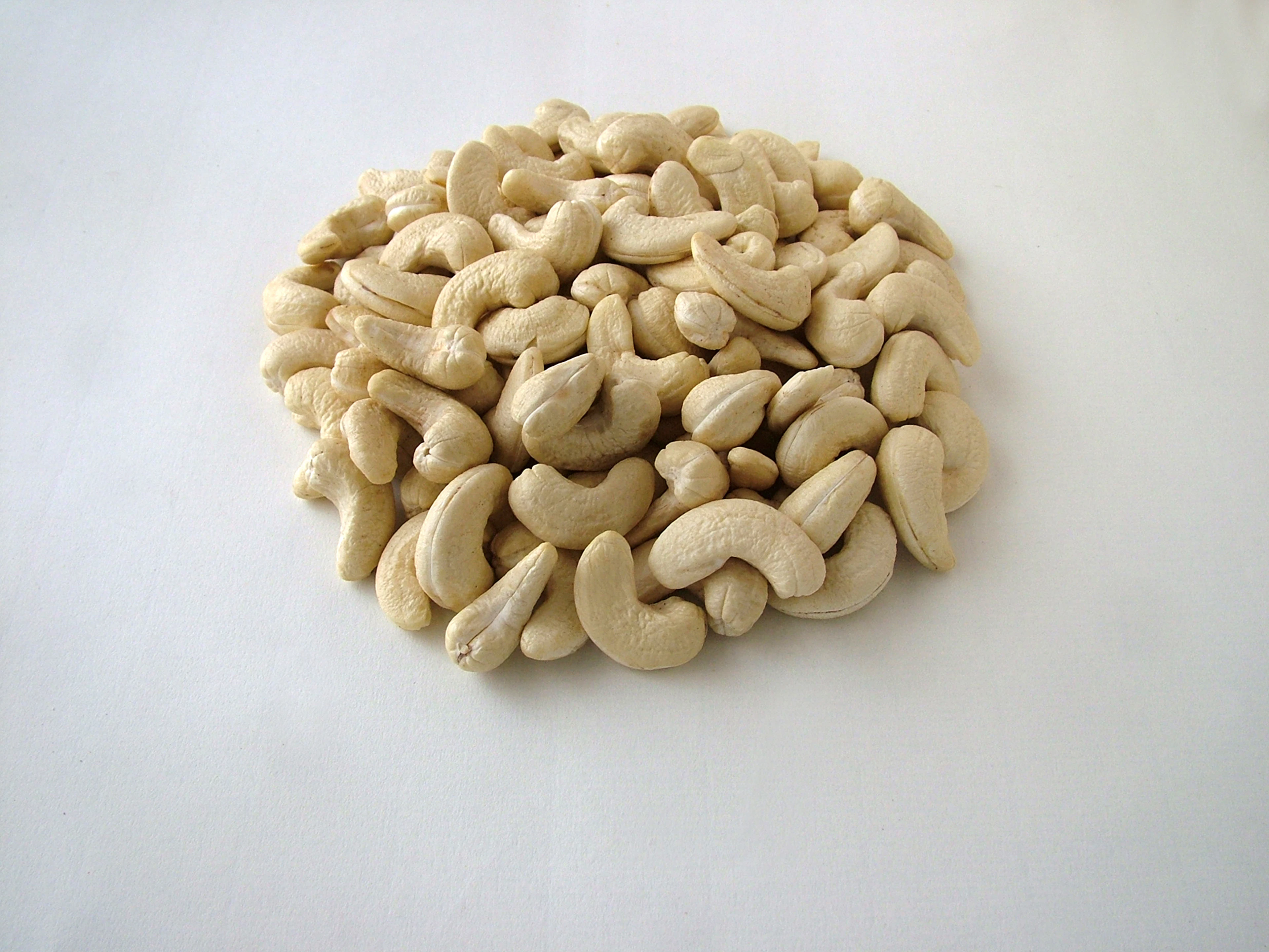 Cashew Kernels WW450