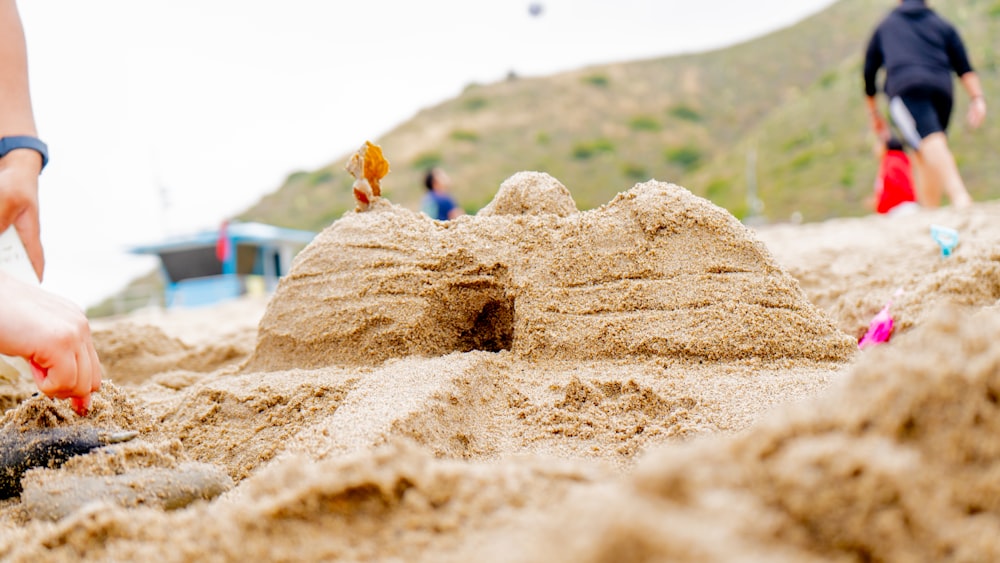 a person is digging in the sand at the beach