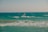 A person is windsurfing on choppy ocean waves under a clear sky. The sea is a deep shade of turquoise with whitecaps visible as the wind pushes against the water. The windsurfer is leaning into the wind, riding the waves actively.