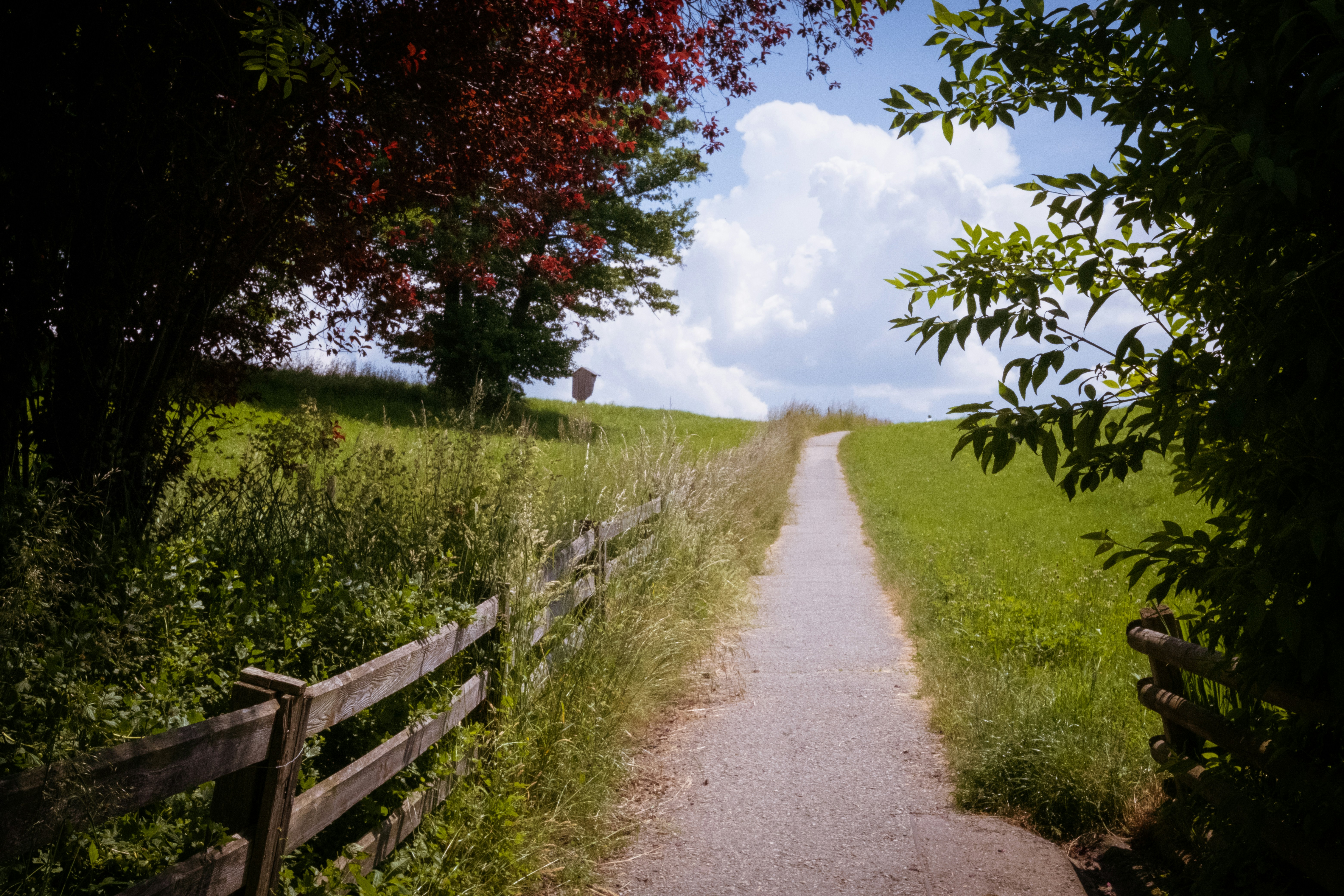 Path to heaven