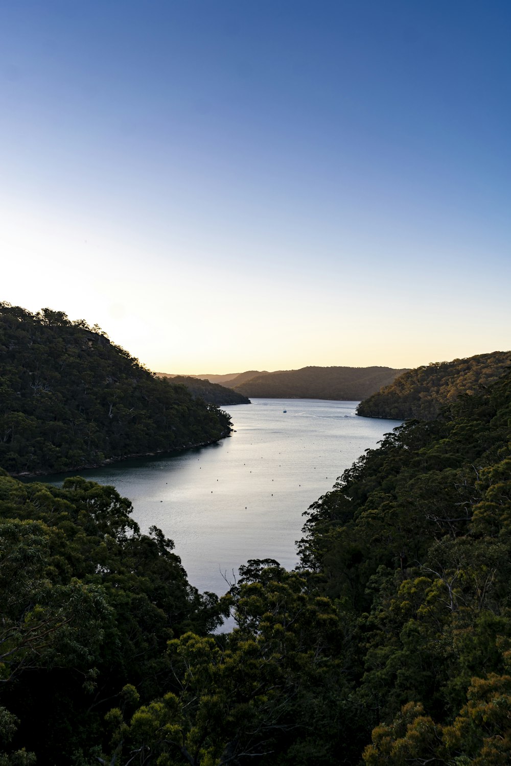 a large body of water surrounded by trees