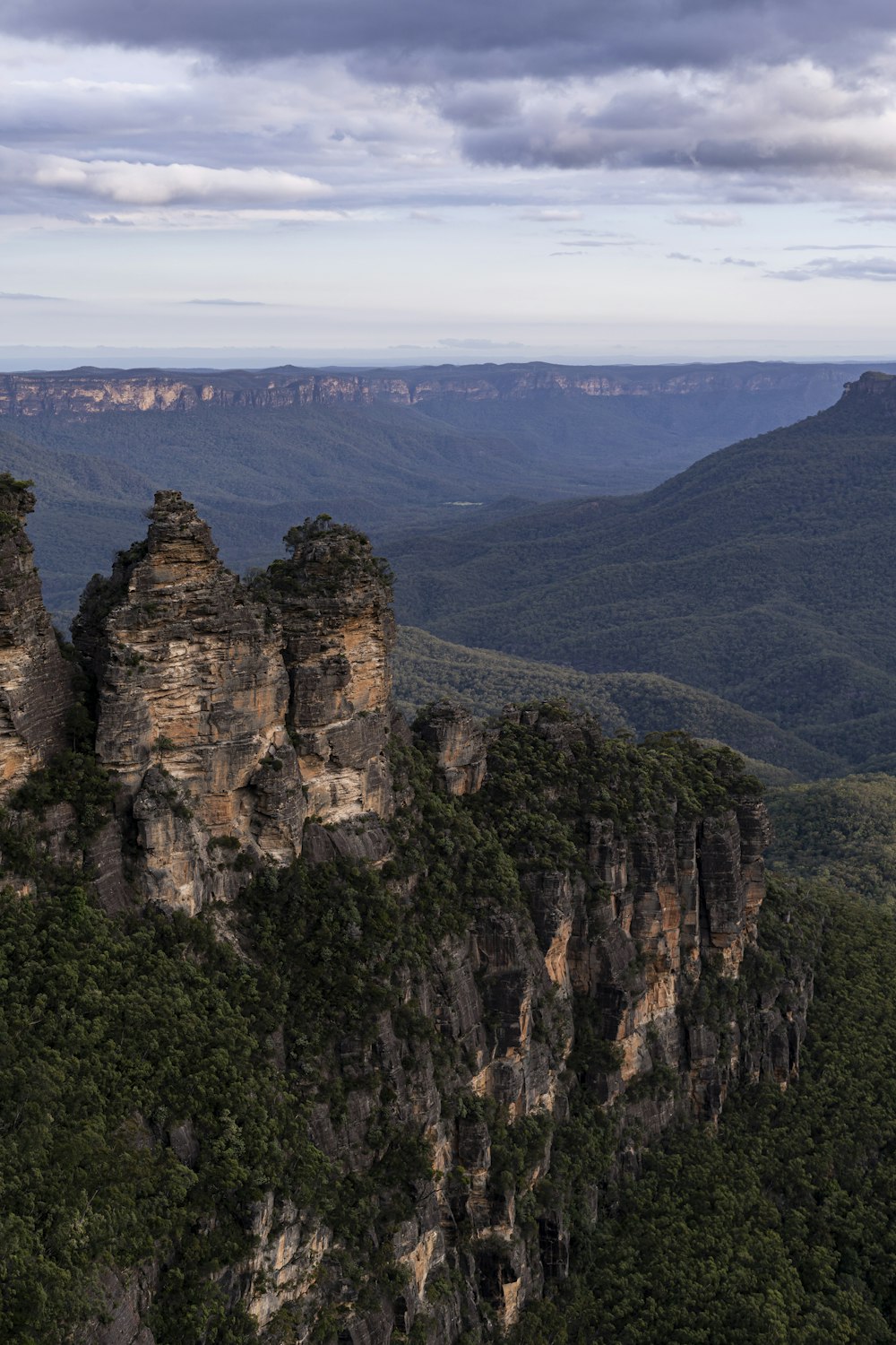 a view of the blue mountains from the top of a hill