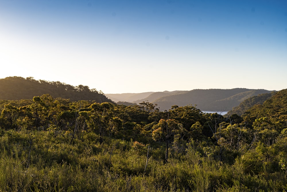 the sun is shining on the mountains and trees