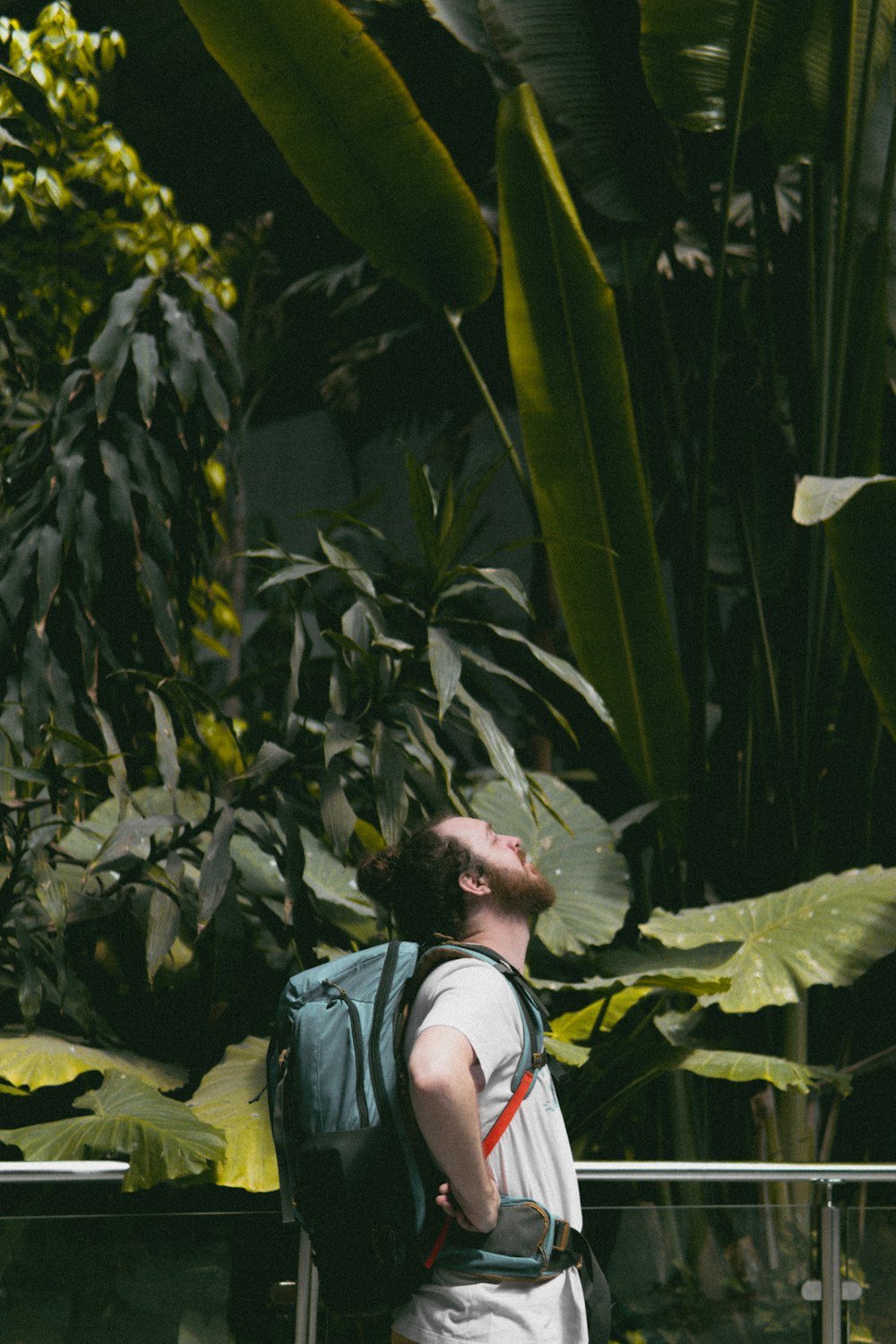 a man with a backpack looking up into the sky