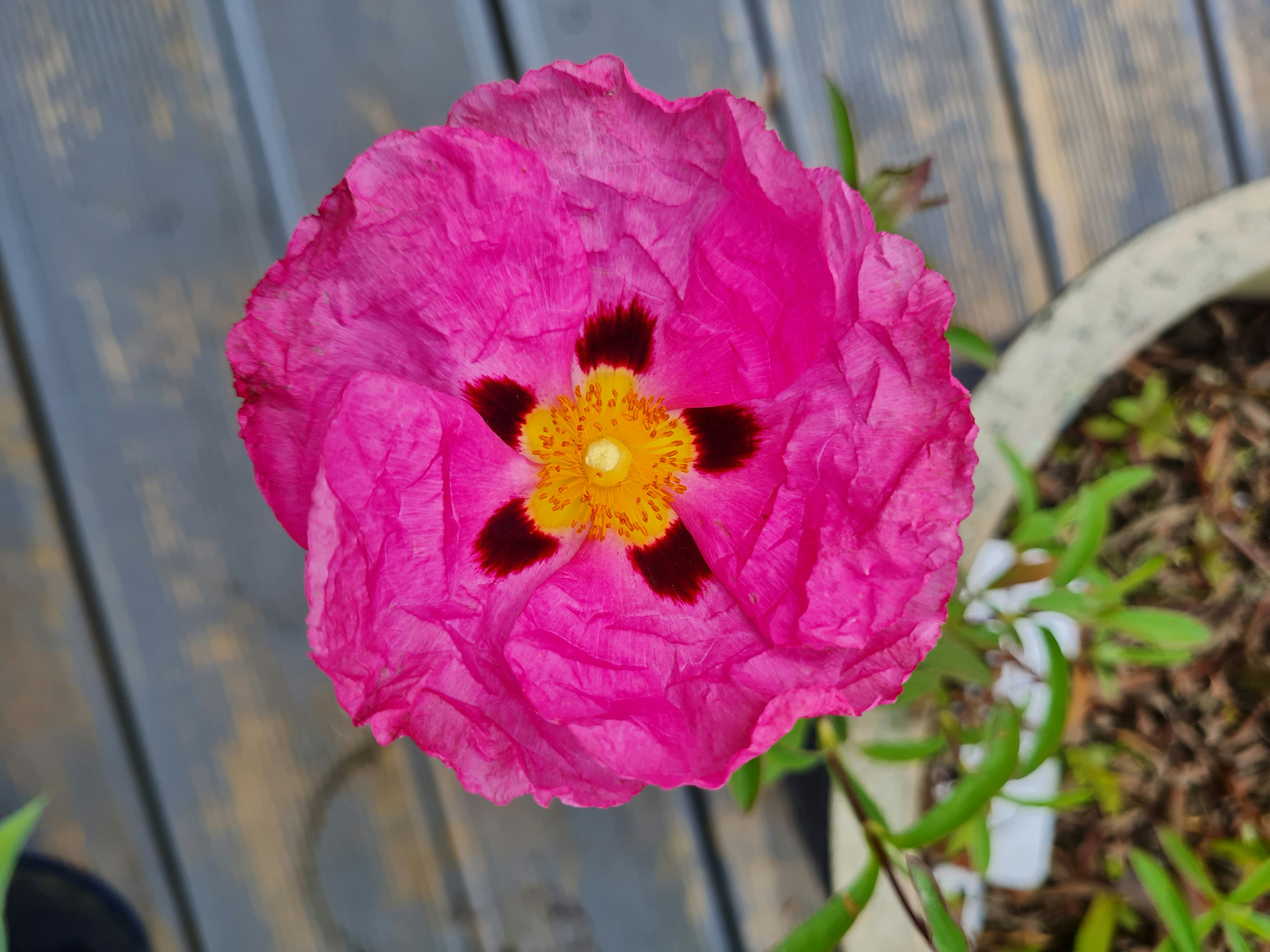 Photo by child_development