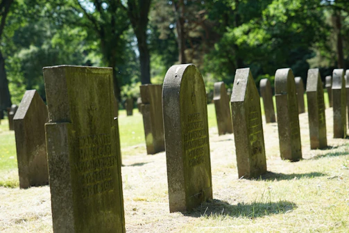 A neat row of restored gravestones shining under soft sunlight.