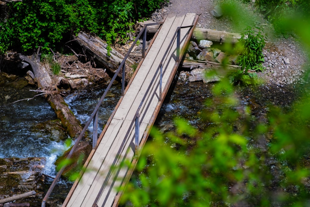a wooden bridge over a small stream in a forest