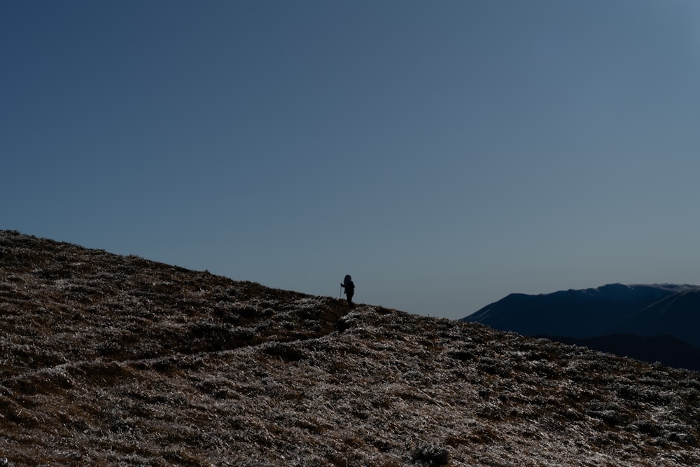 a person standing on top of a grass covered hill