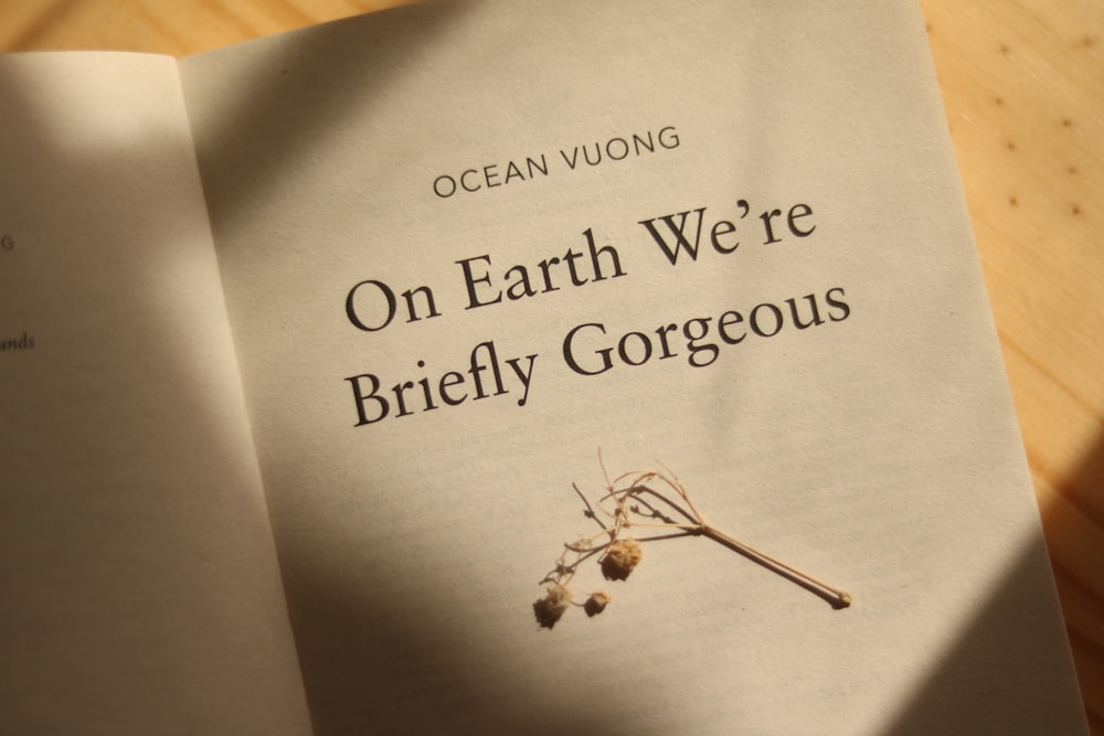 an open book on earth we're briefly gorgeous