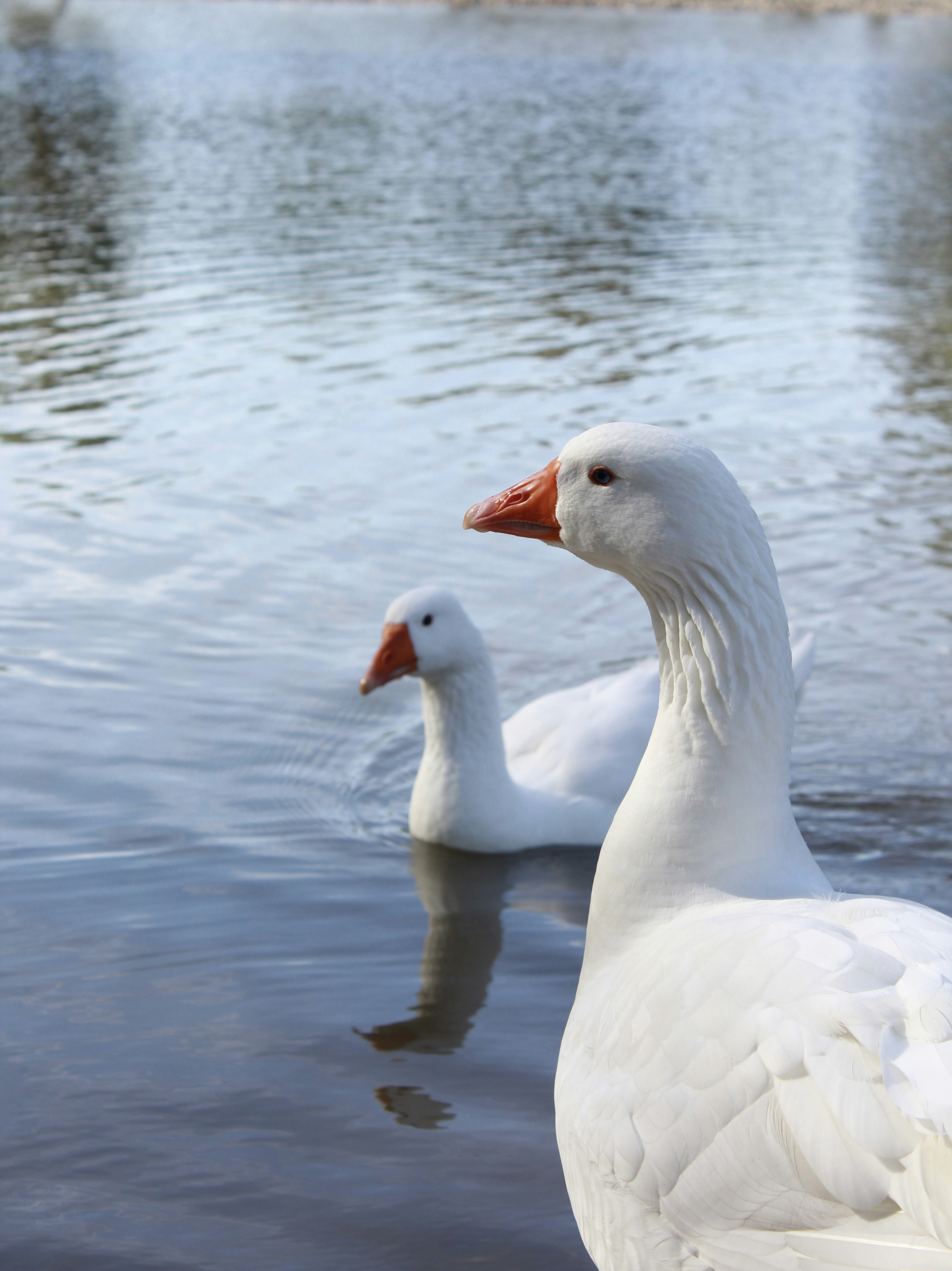 Photo by un_universo_paralelo