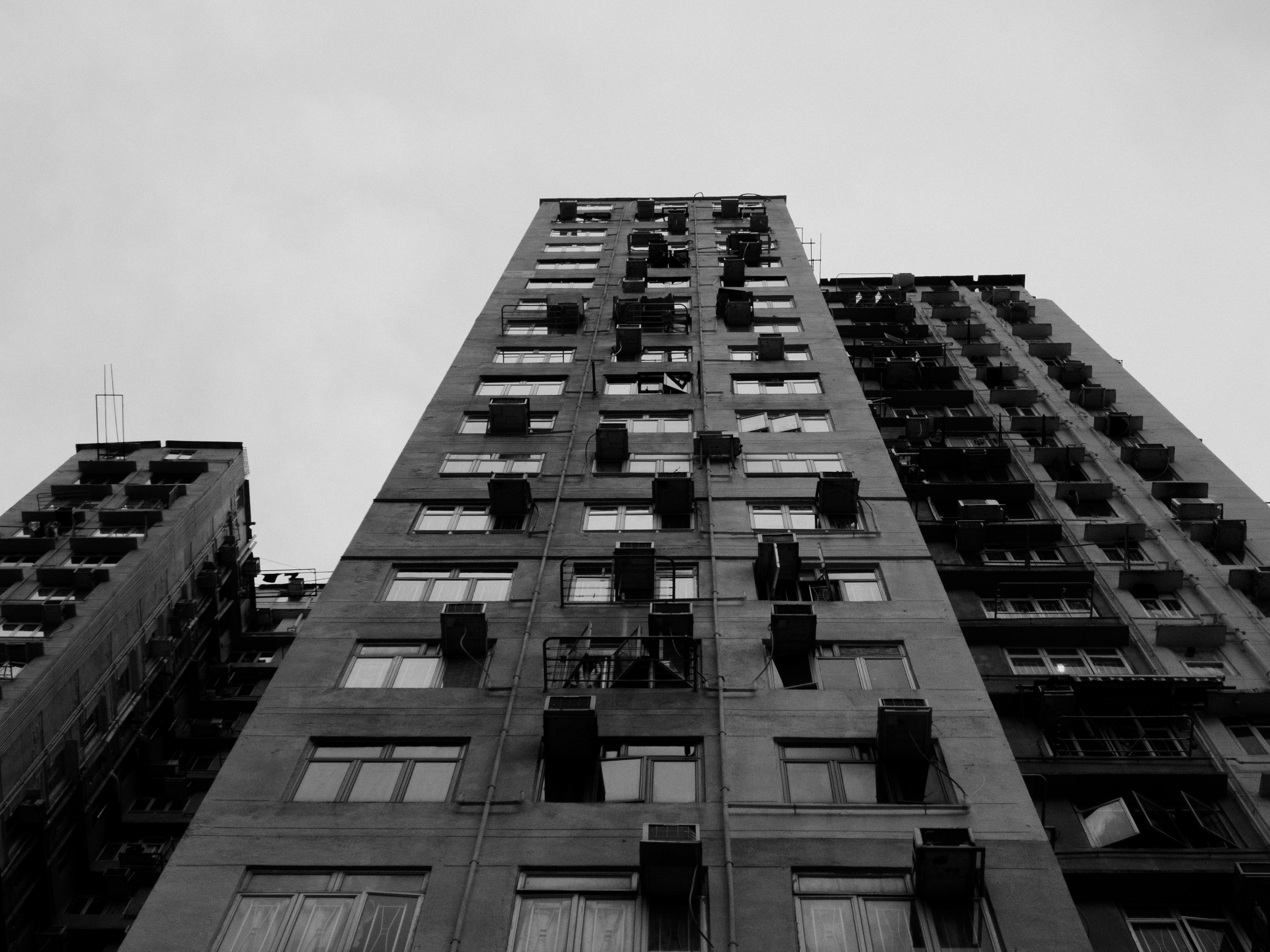 Photo by catgirlmutant