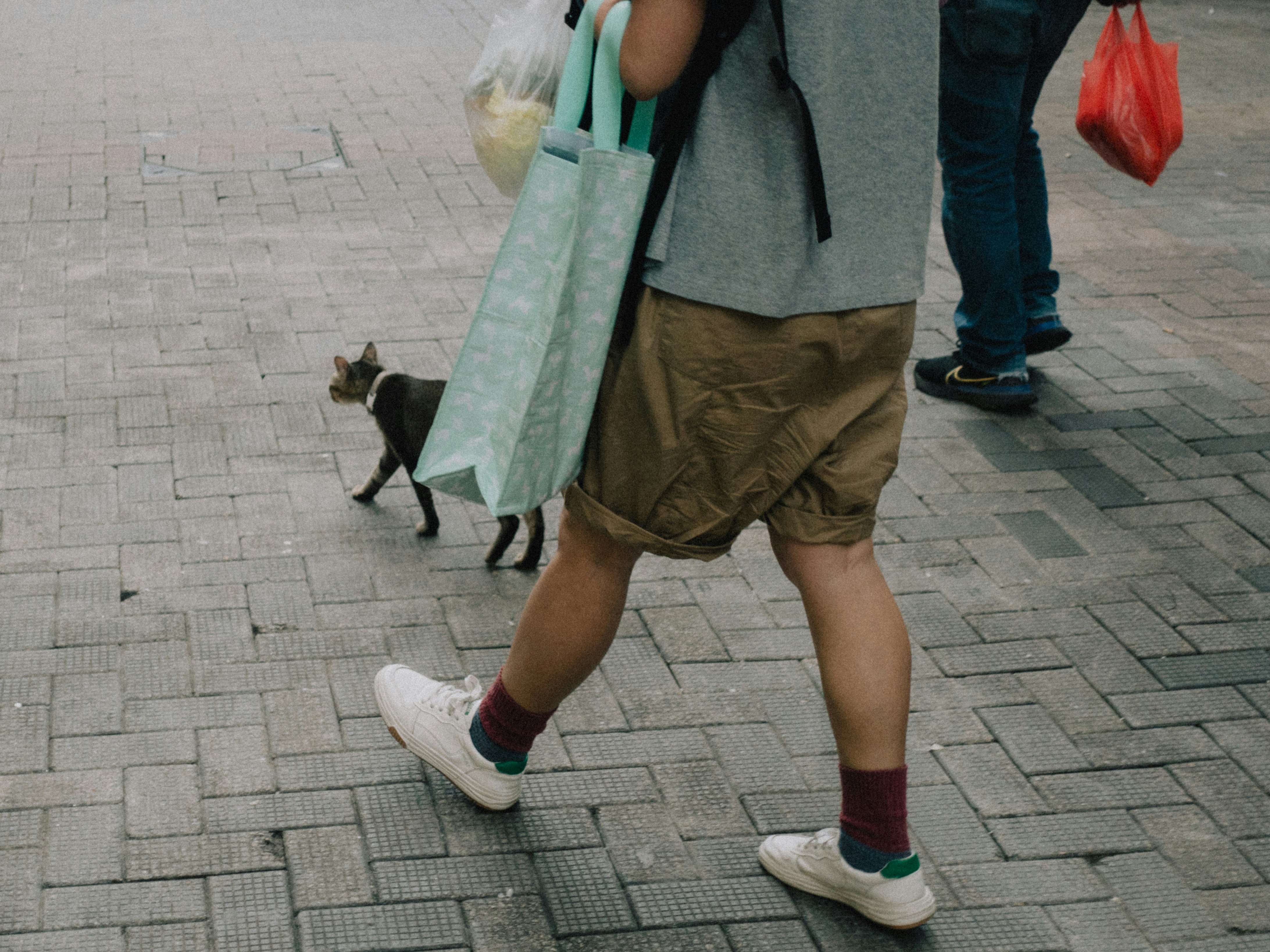 A young child on the autism spectrum happily holding a Golden Retriever service dog's leash.