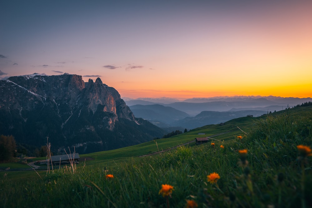 El sol se está poniendo sobre las montañas con flores silvestres en primer plano